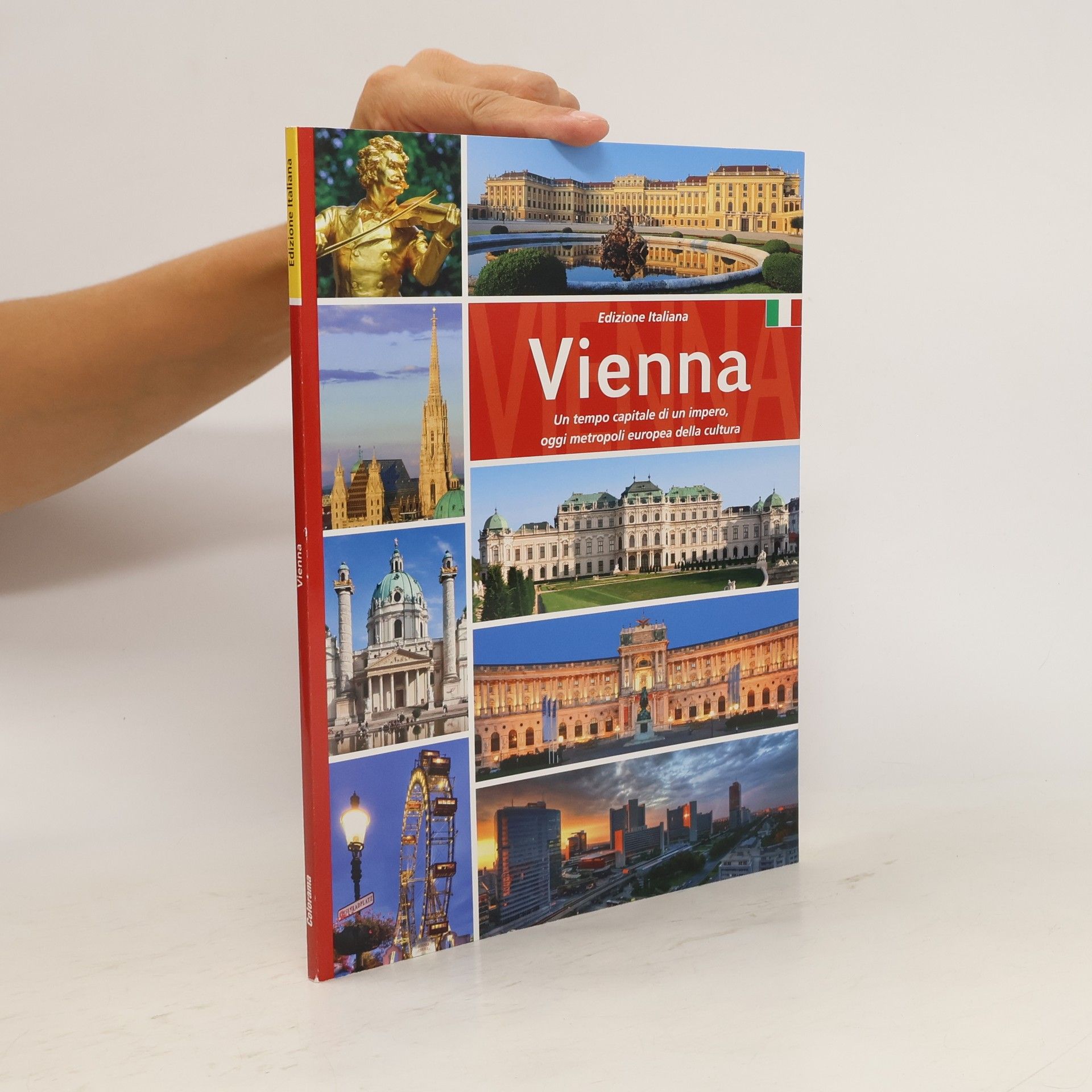 Bernhard Helminger Vienna