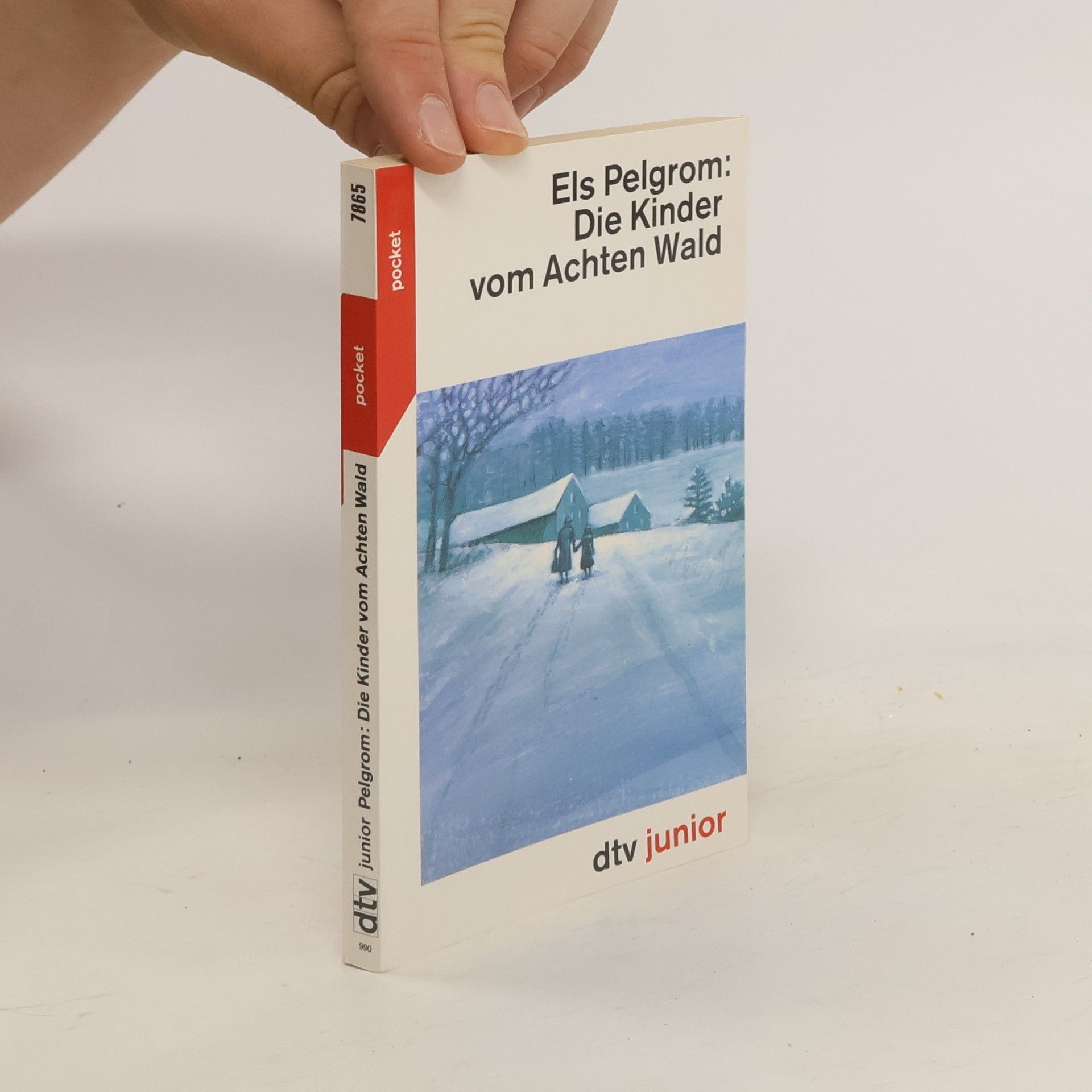 Els Pelgrom Die Kinder vom Achten Wald