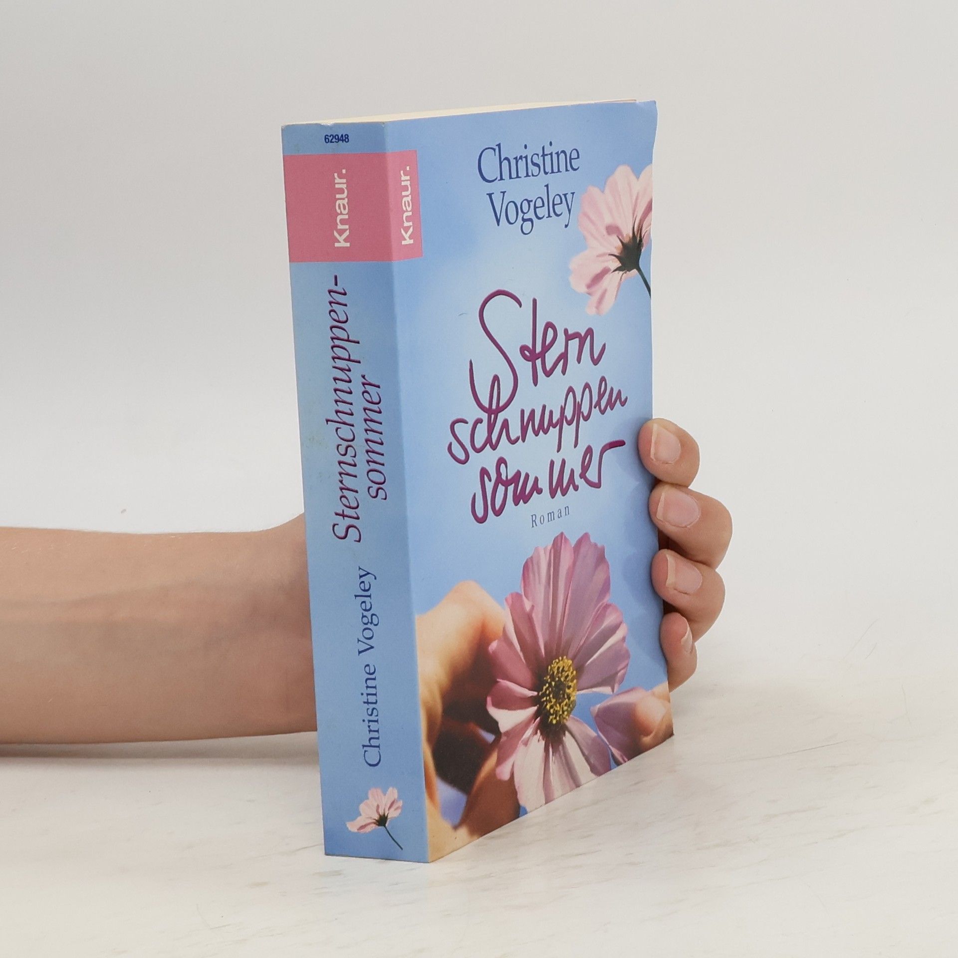 Christine Vogeley Sternschnuppensommer