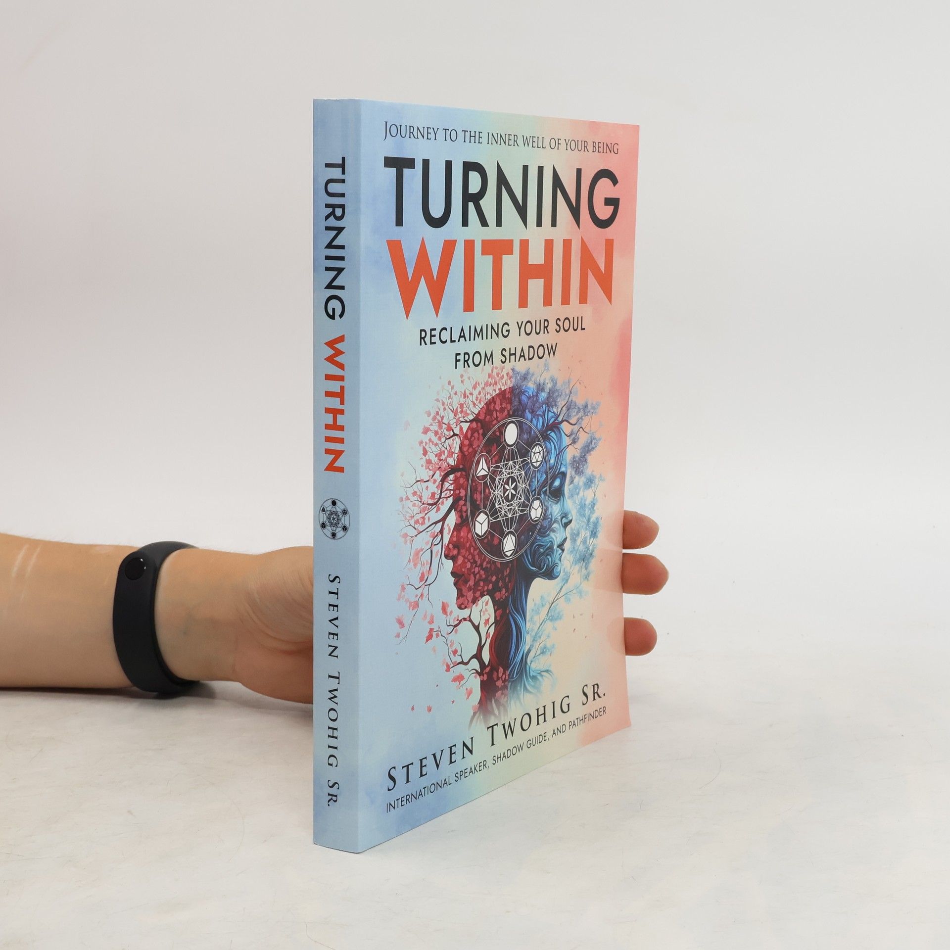 Steven Twohig Turning Within