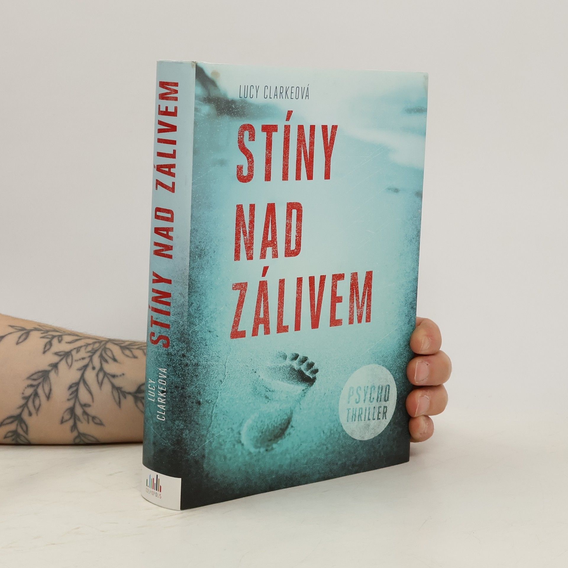 Lucy Clarke Stíny nad zálivem