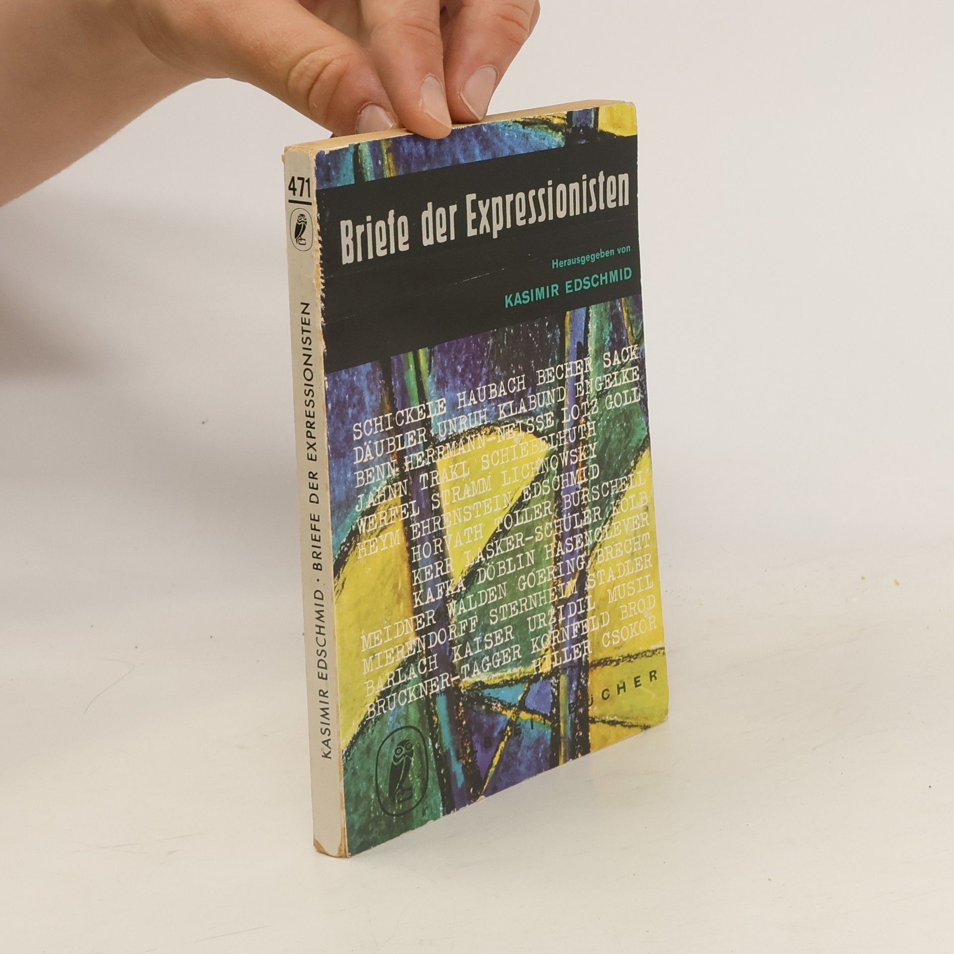 Kasimir Edschmid Briefe der Expressionisten