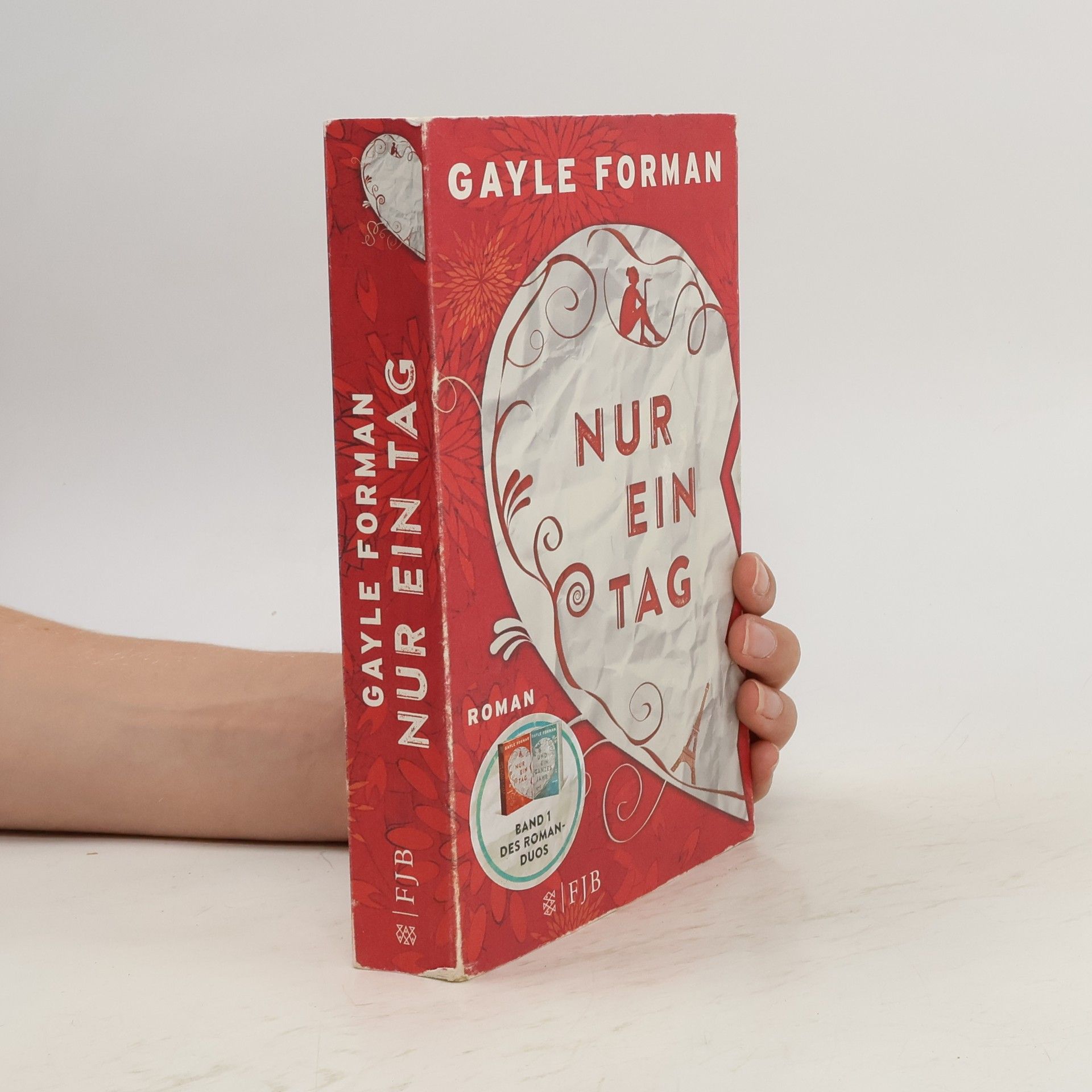 Gayle Forman Nur ein Tag