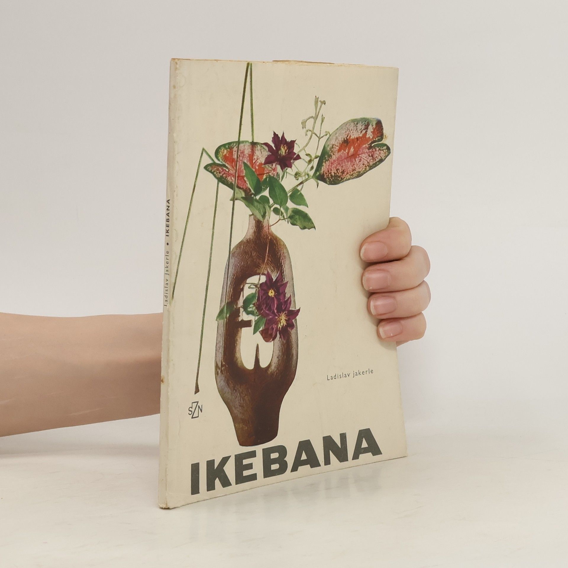 Ladislav Jakerle Ikebana