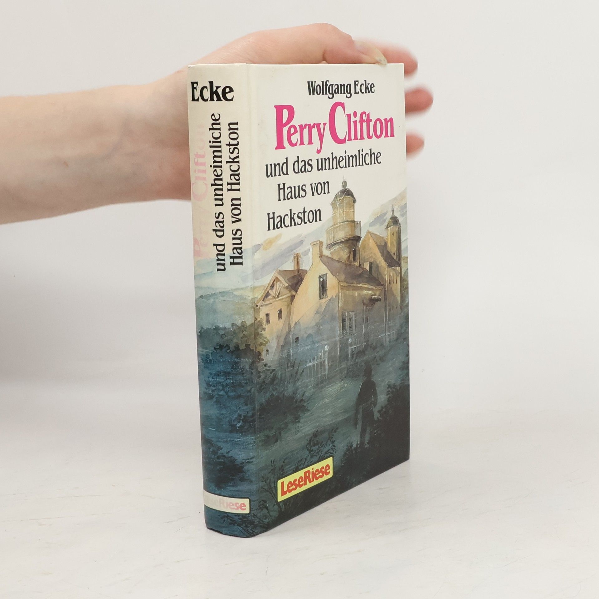 Wolfgang Ecke Perry Clifton und das unheimliche Haus von Hackston