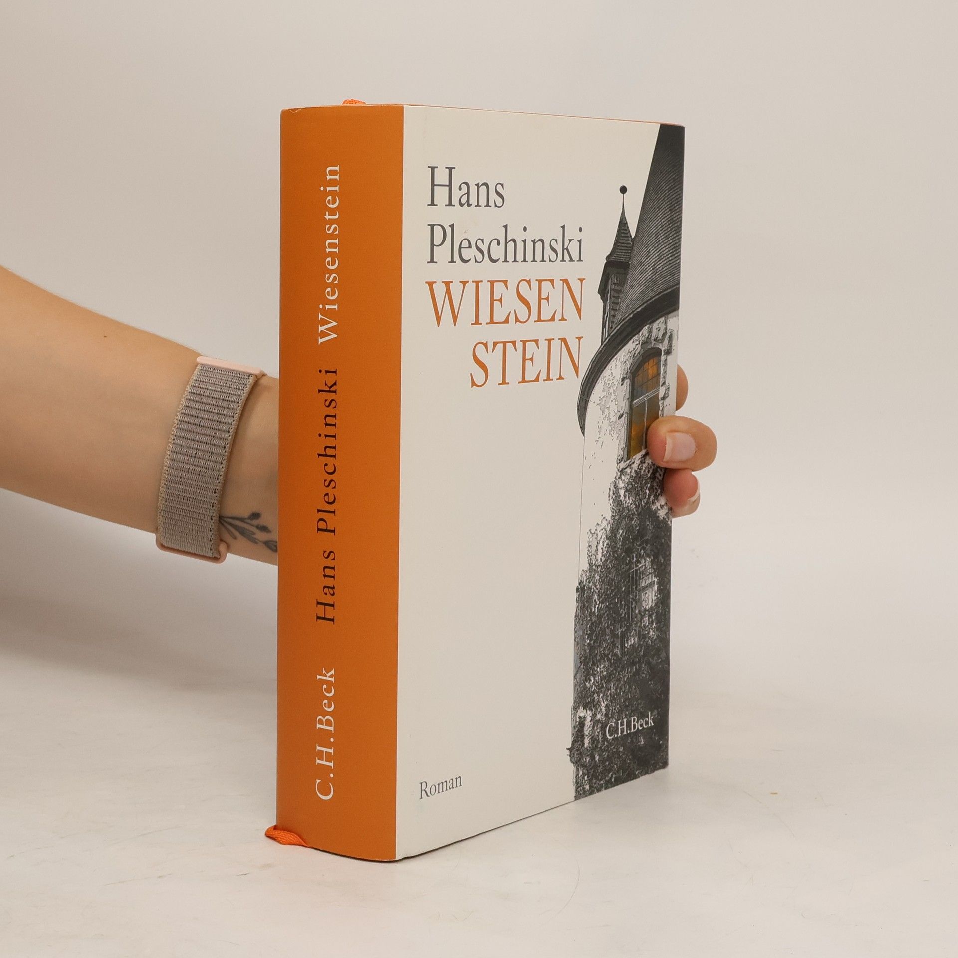 Hans Pleschinski Wiesenstein
