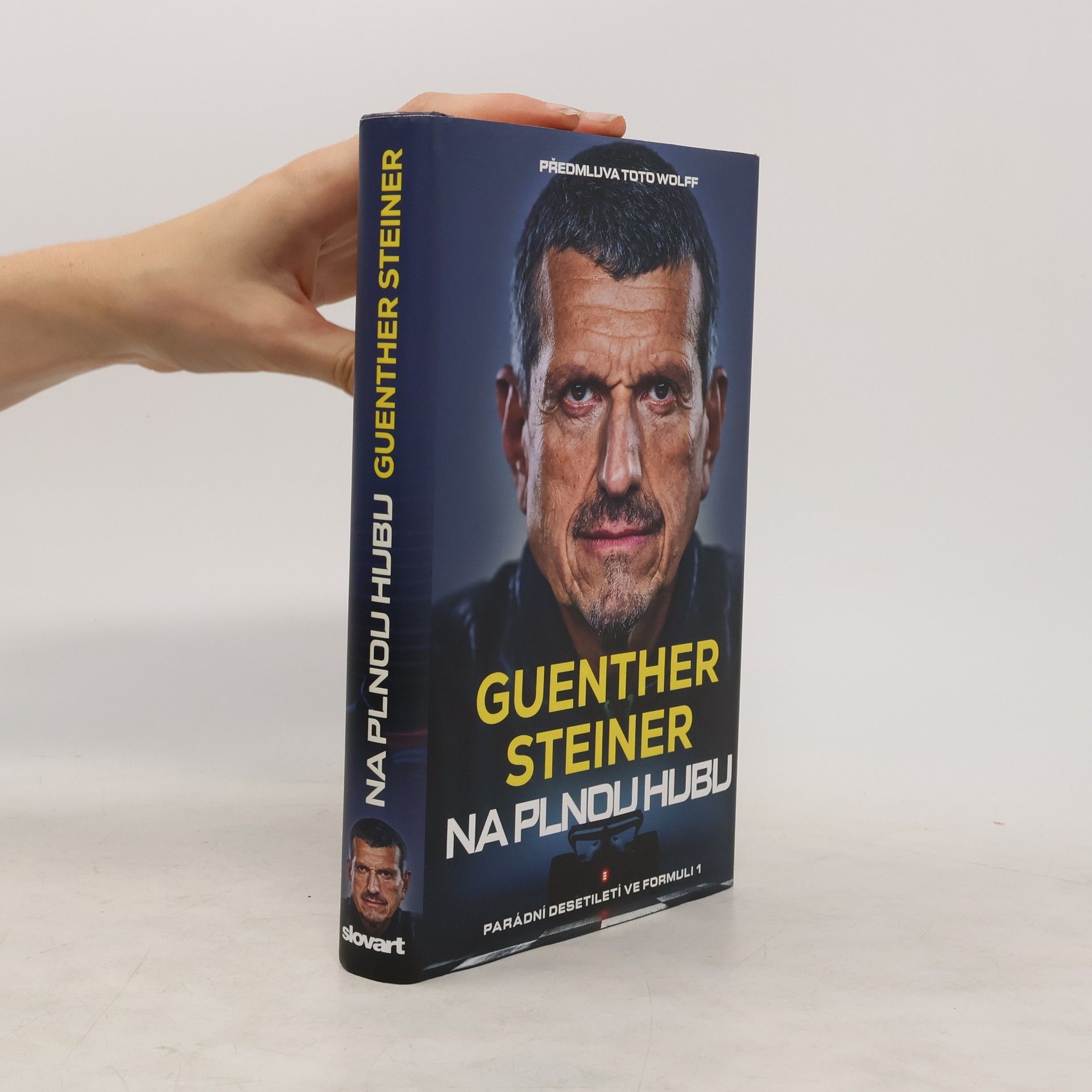 Guenther Steiner Na plnou hubu. Parádní desetiletí ve formuli 1