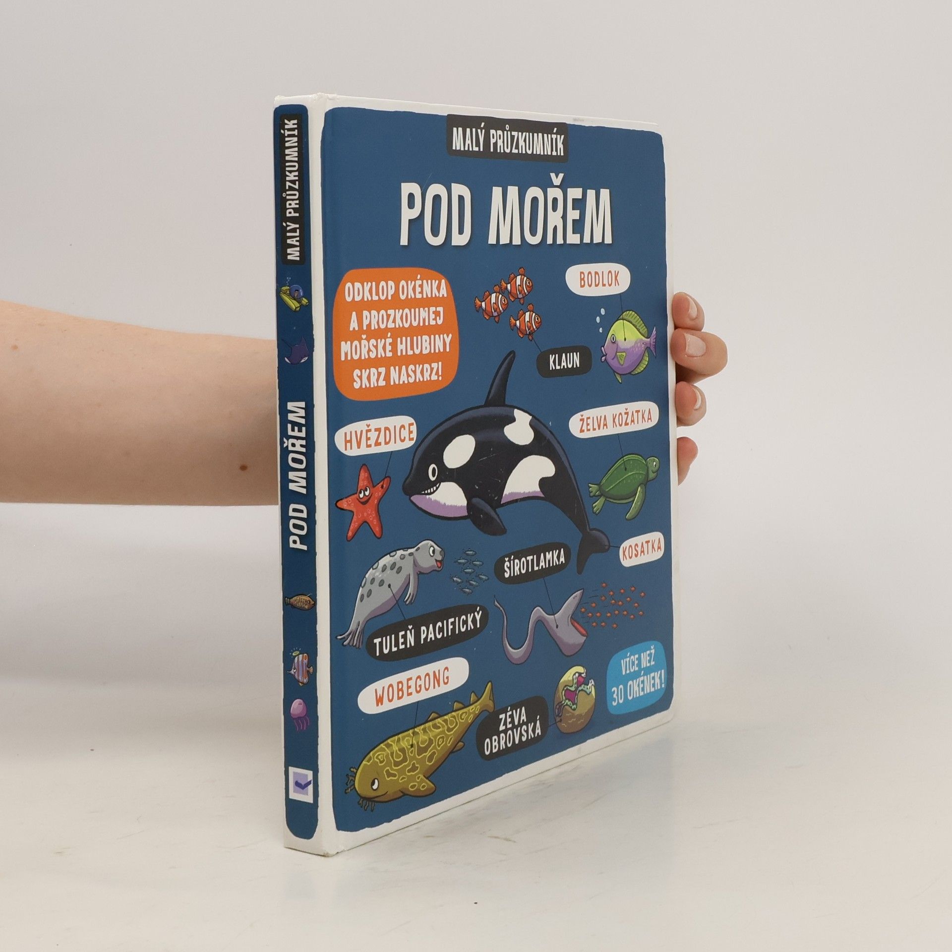 AA.VV. Pod mořem