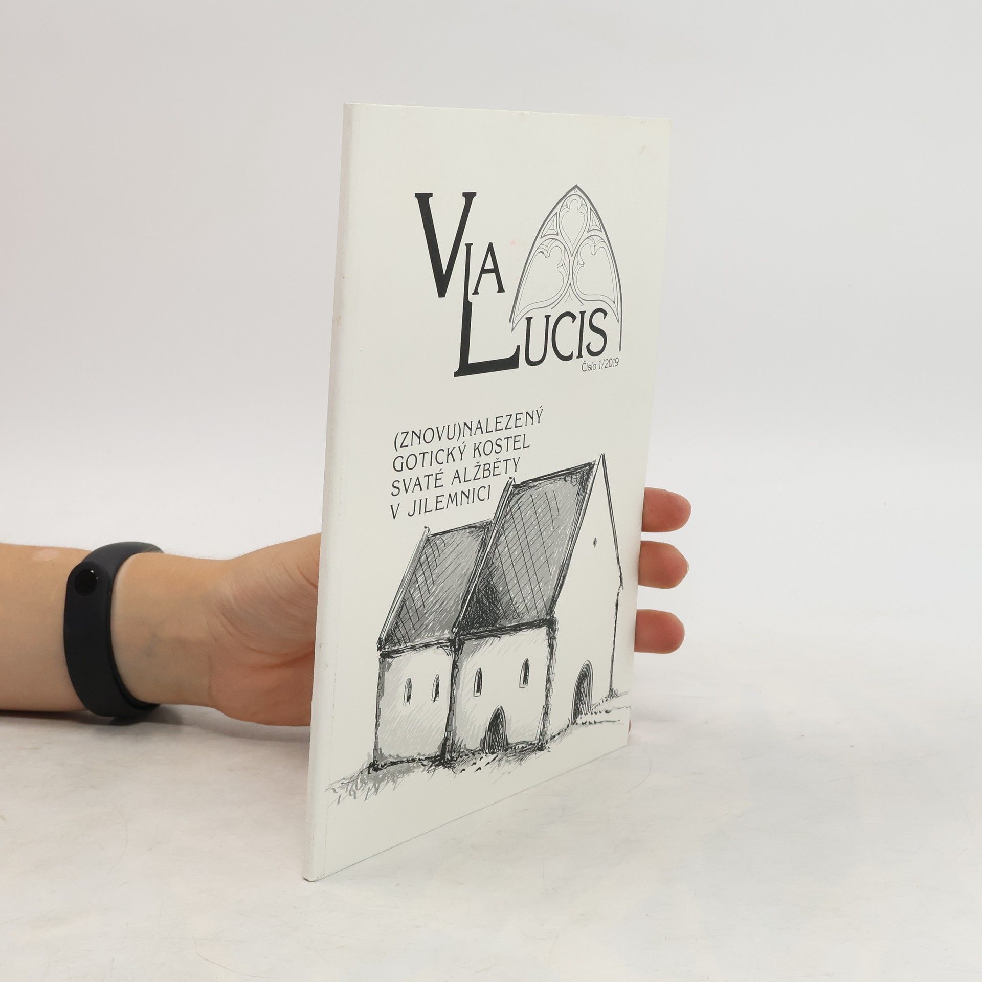 Autorenkollektiv Via Lucis 1/2019