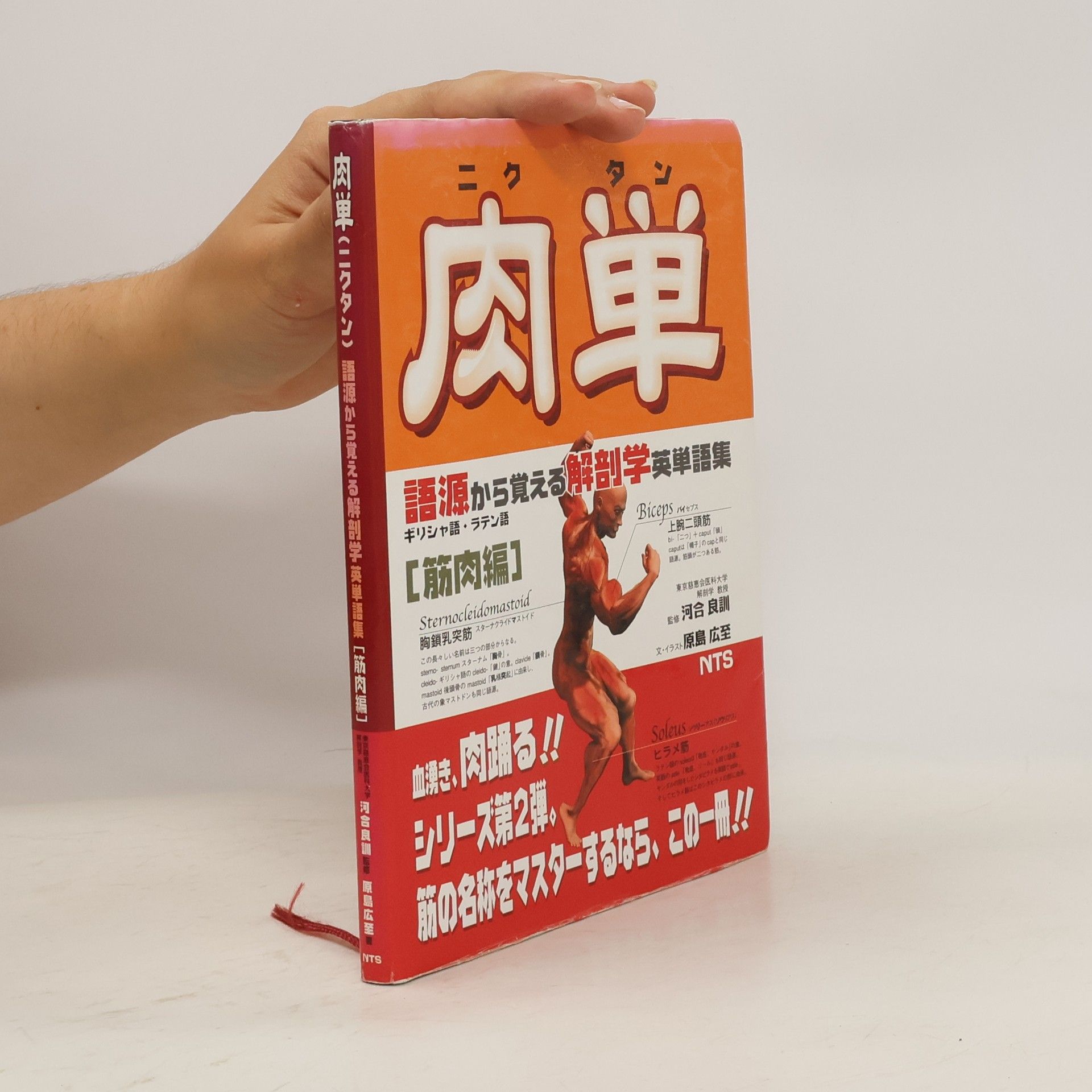 原島 広至 肉単: 語源から覚える解剖学英単語集筋肉編