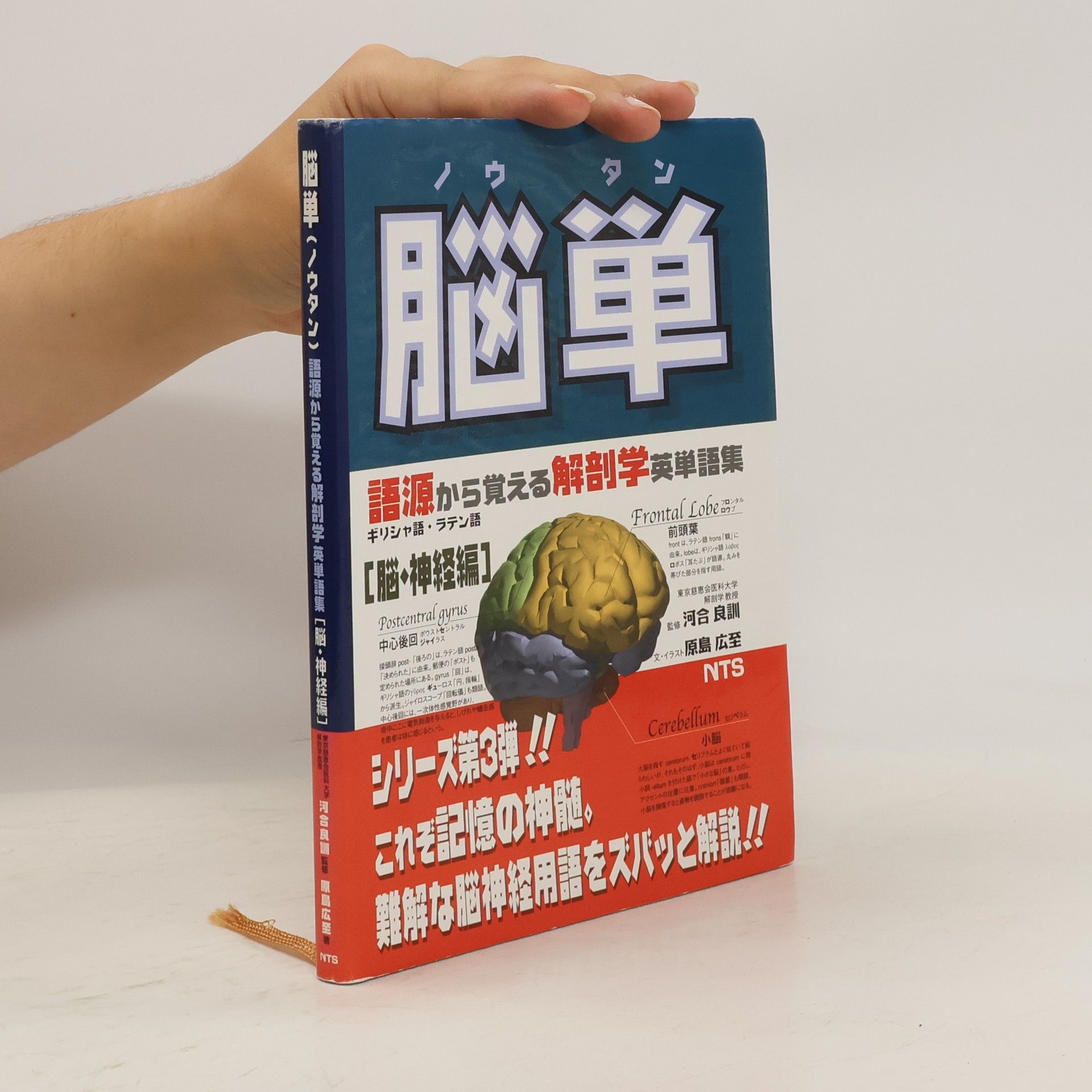 原島広至 脳単