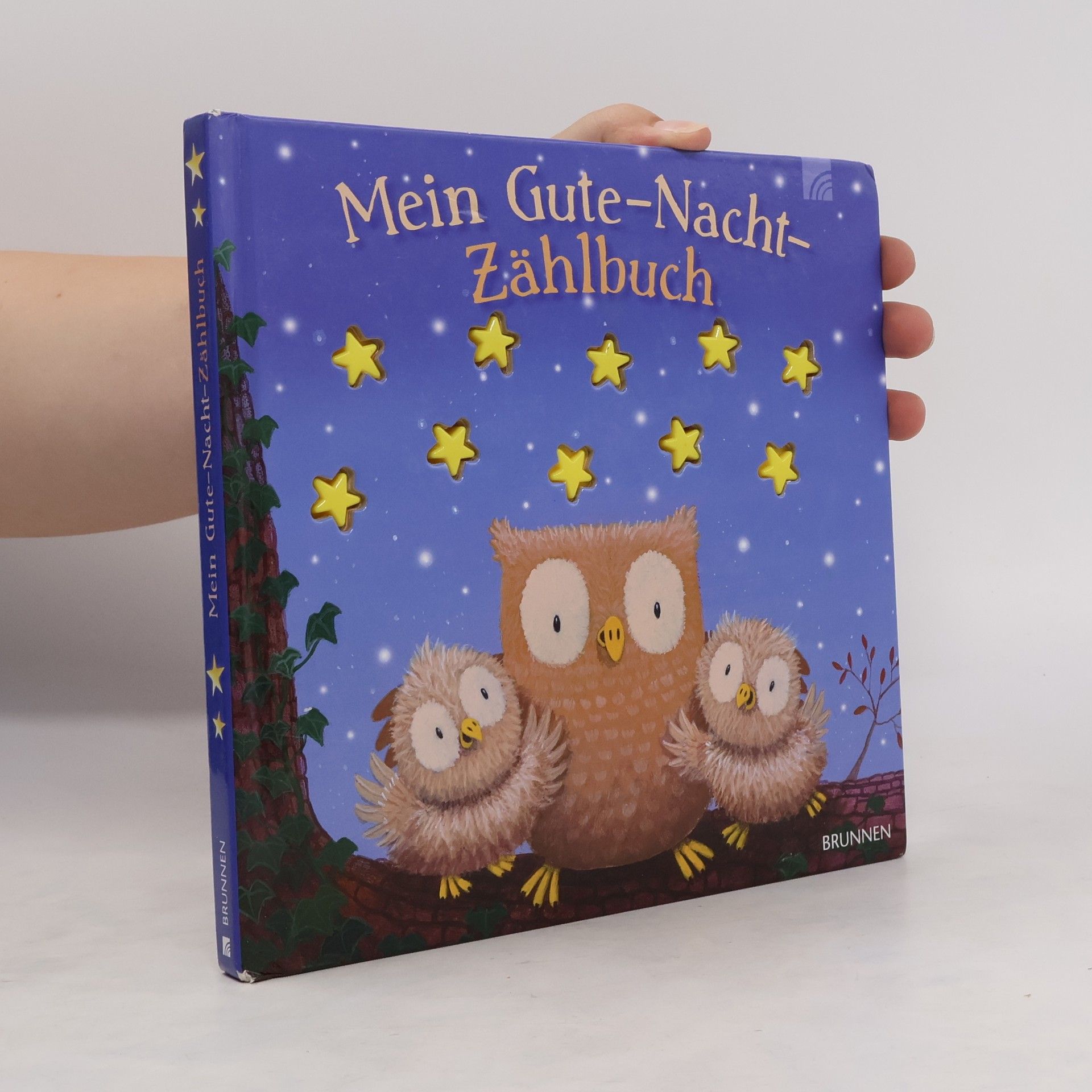 Russell Julian Mein Gute-Nacht-Zählbuch
