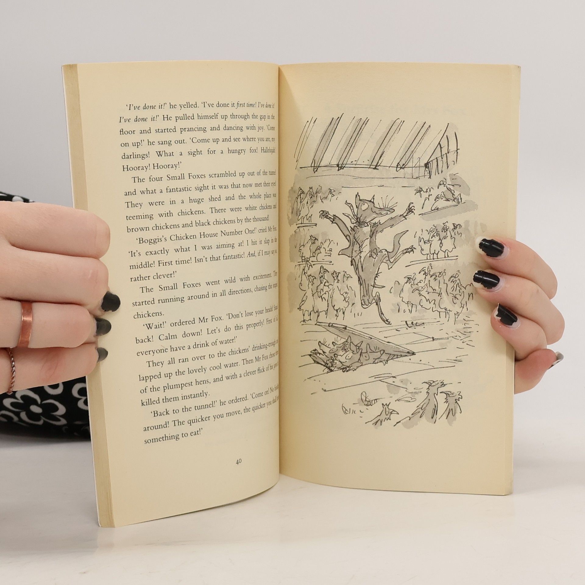 Roald Dahl Fantastic Mr Fox