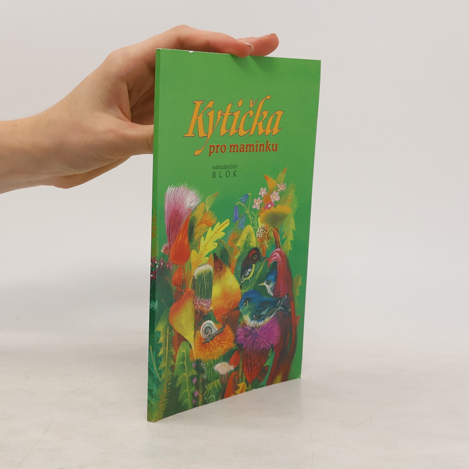 Jiří Žáček Kytička pro maminku