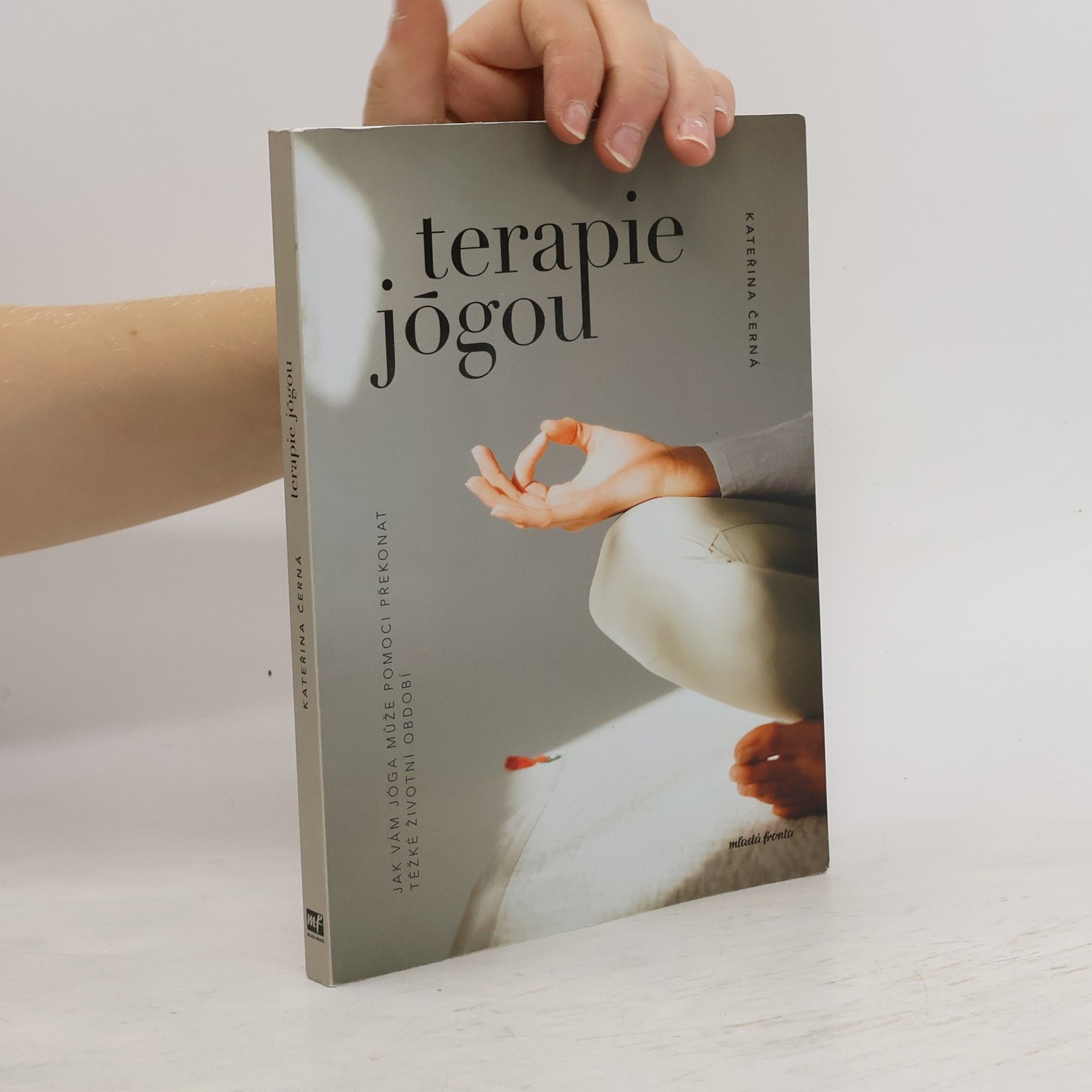 Kateřina Černá Terapie jógou : Jak vám jóga může pomoci překonat těžké životní období