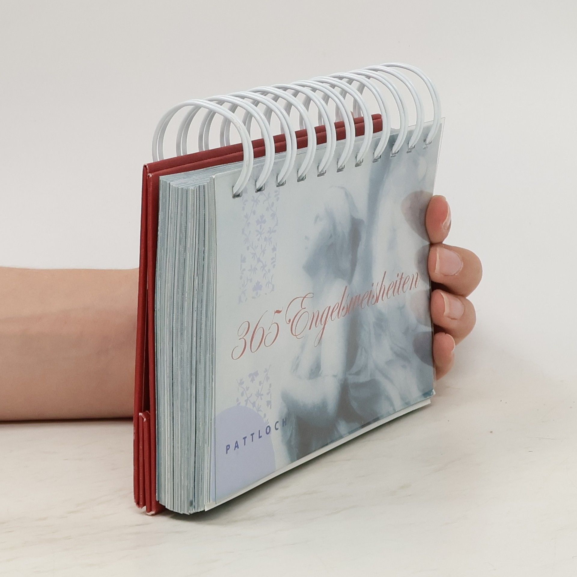 Collectif d'auteurs 365 Engelsweisheiten Mit Fotografien von Renate und Georg Lehmacher