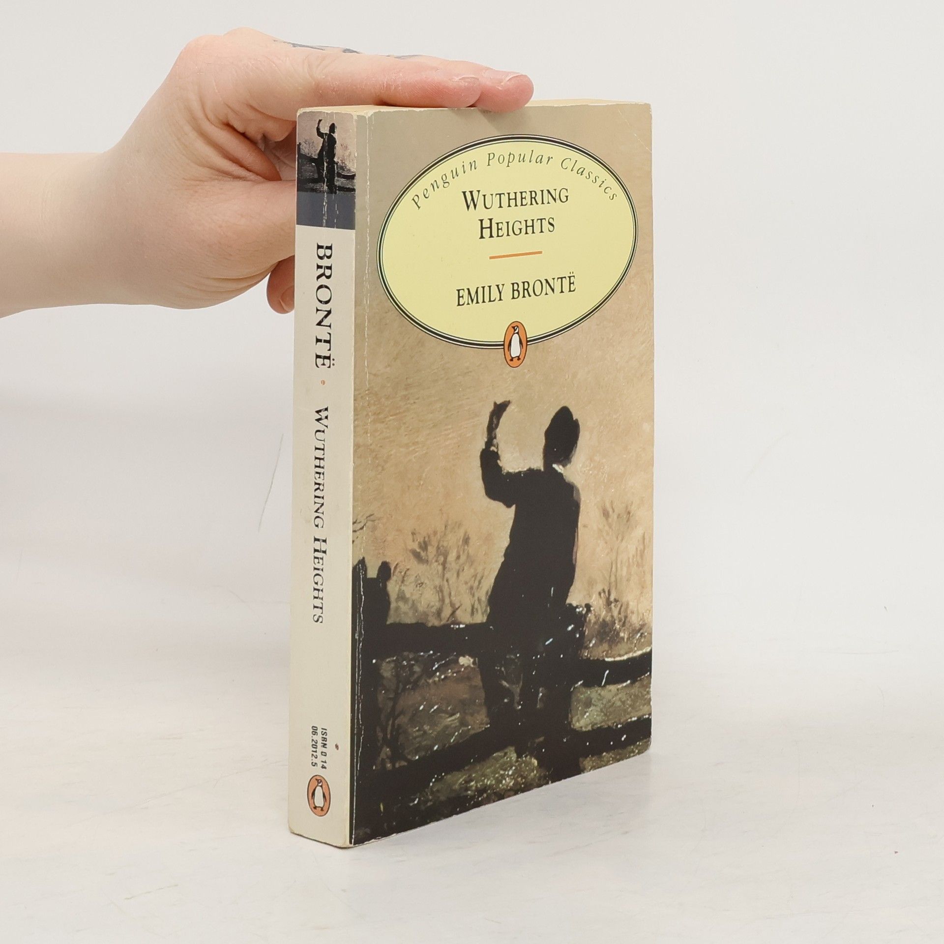Emily Brontë Wuthering Heights