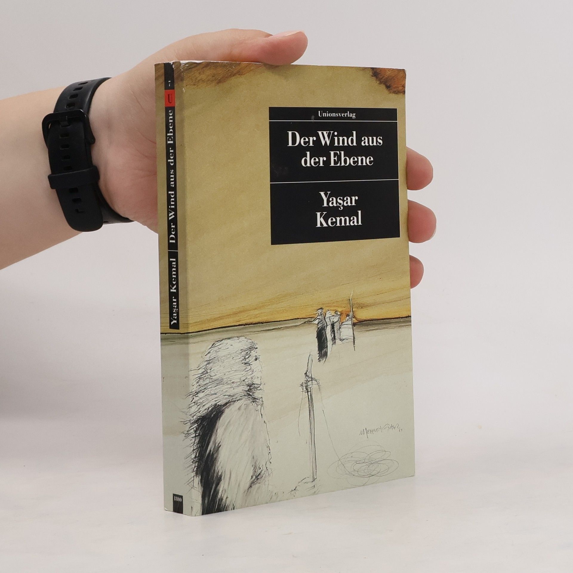 Margarete Bormann Der wind aus der Ebene