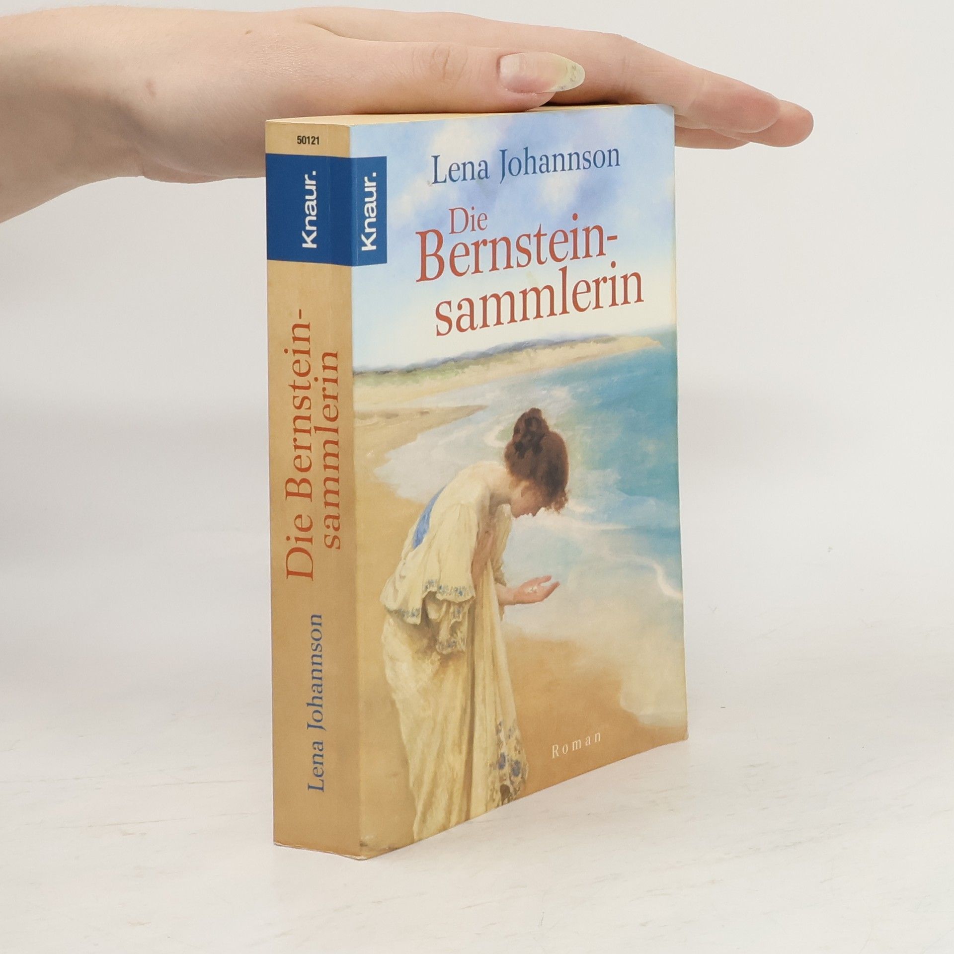 Lena Johannson Die Bernsteinsammlerin