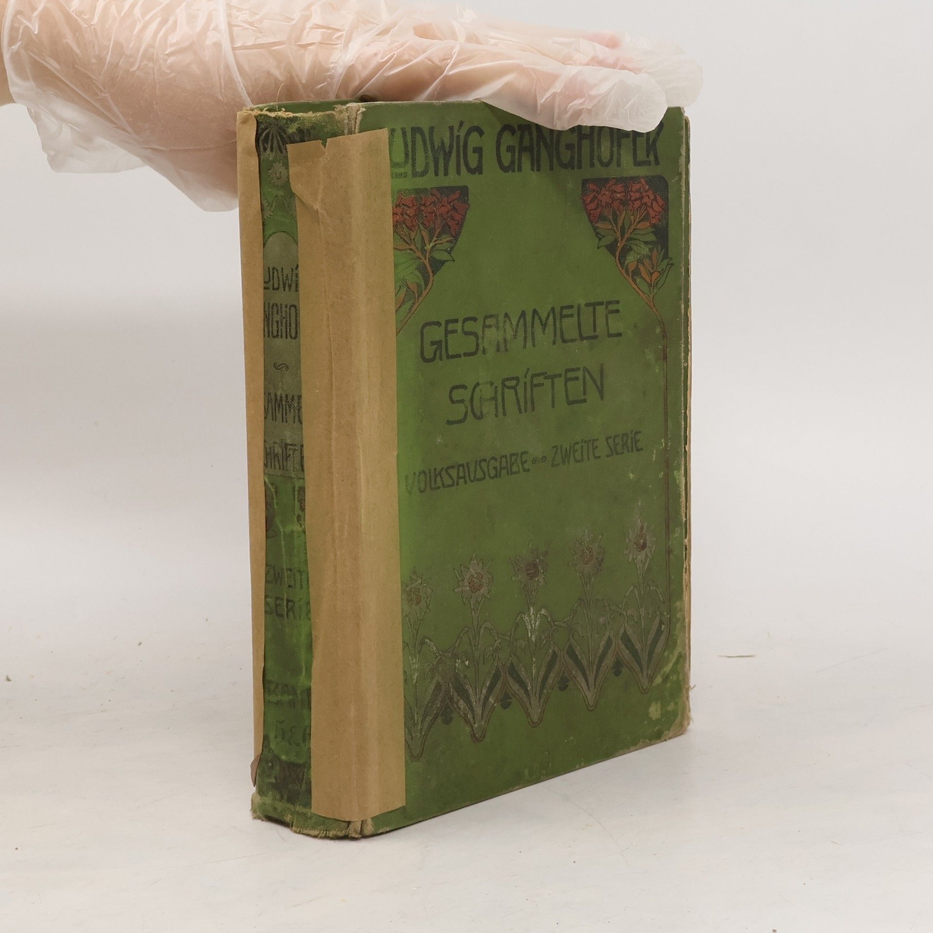 Ludwig Ganghofer Gesammelte Schriften 5 & 6