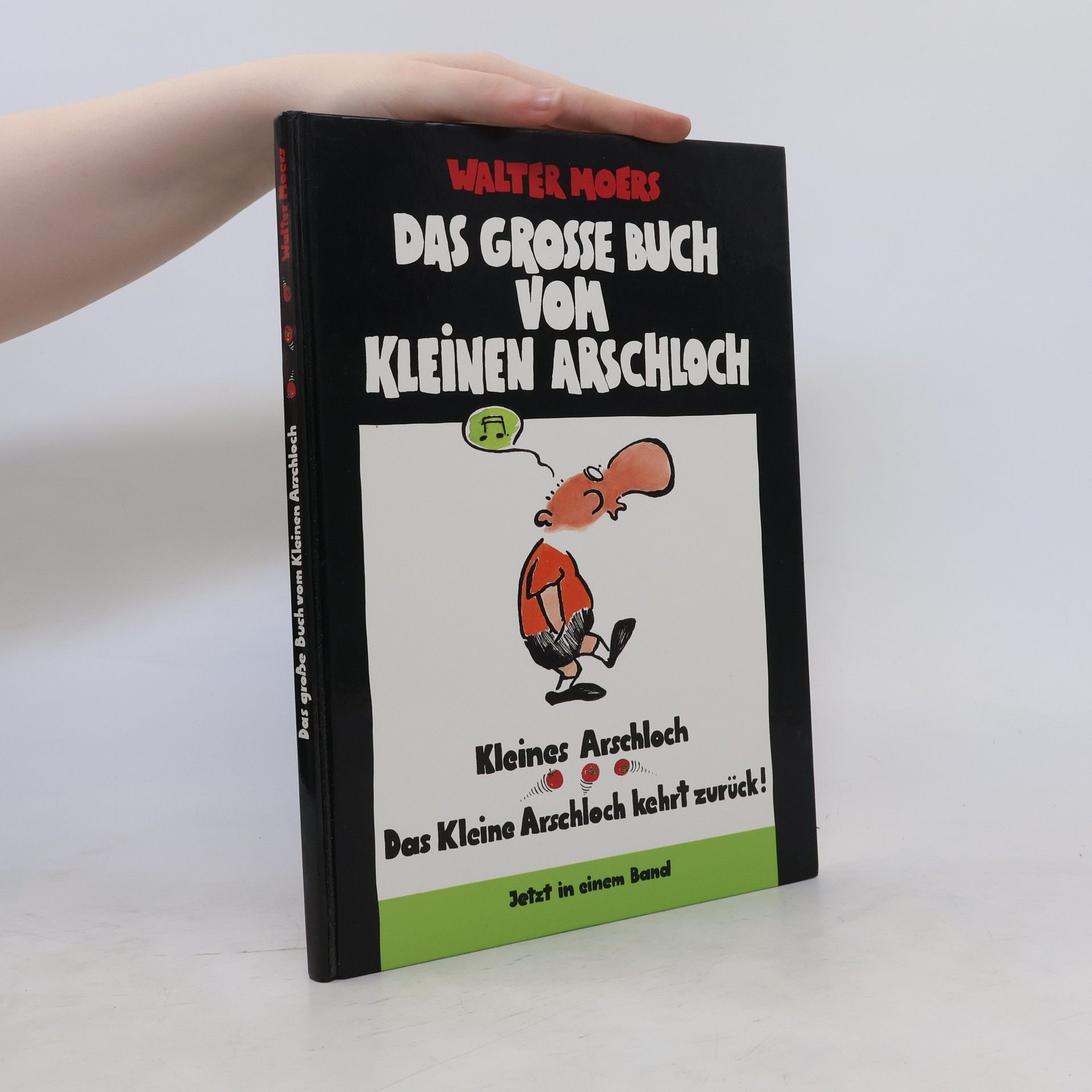 Walter Moers Das Grosse Buch vom Kleinen Arschloch