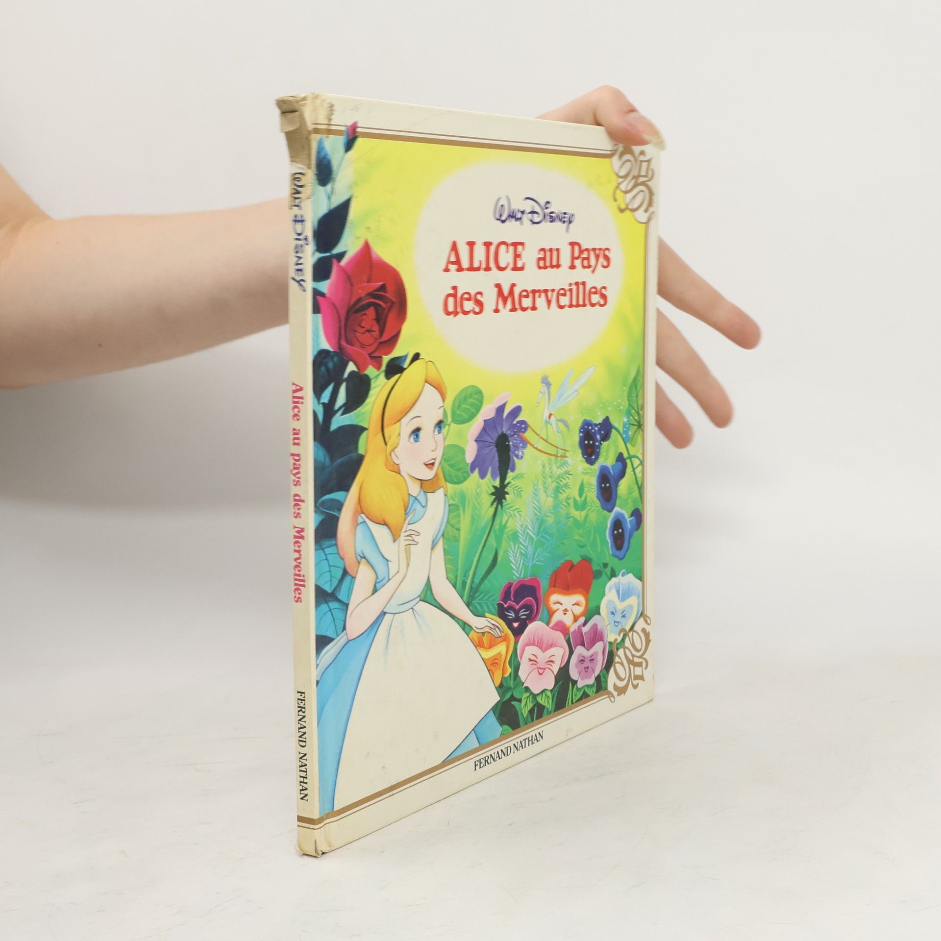 Autorenkollektiv Alice au pays des merveilles