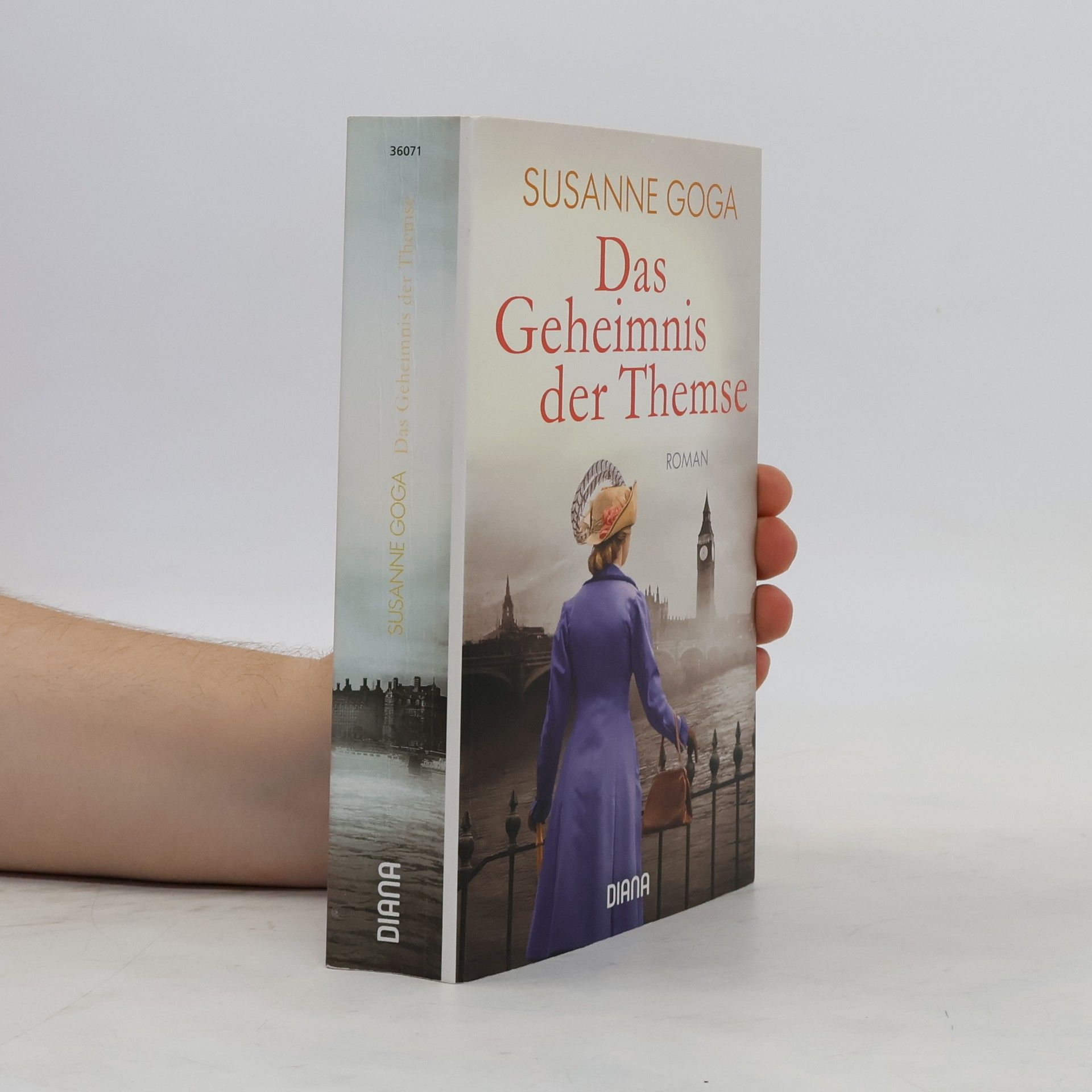 Susanne Goga Das Geheimnis der Themse