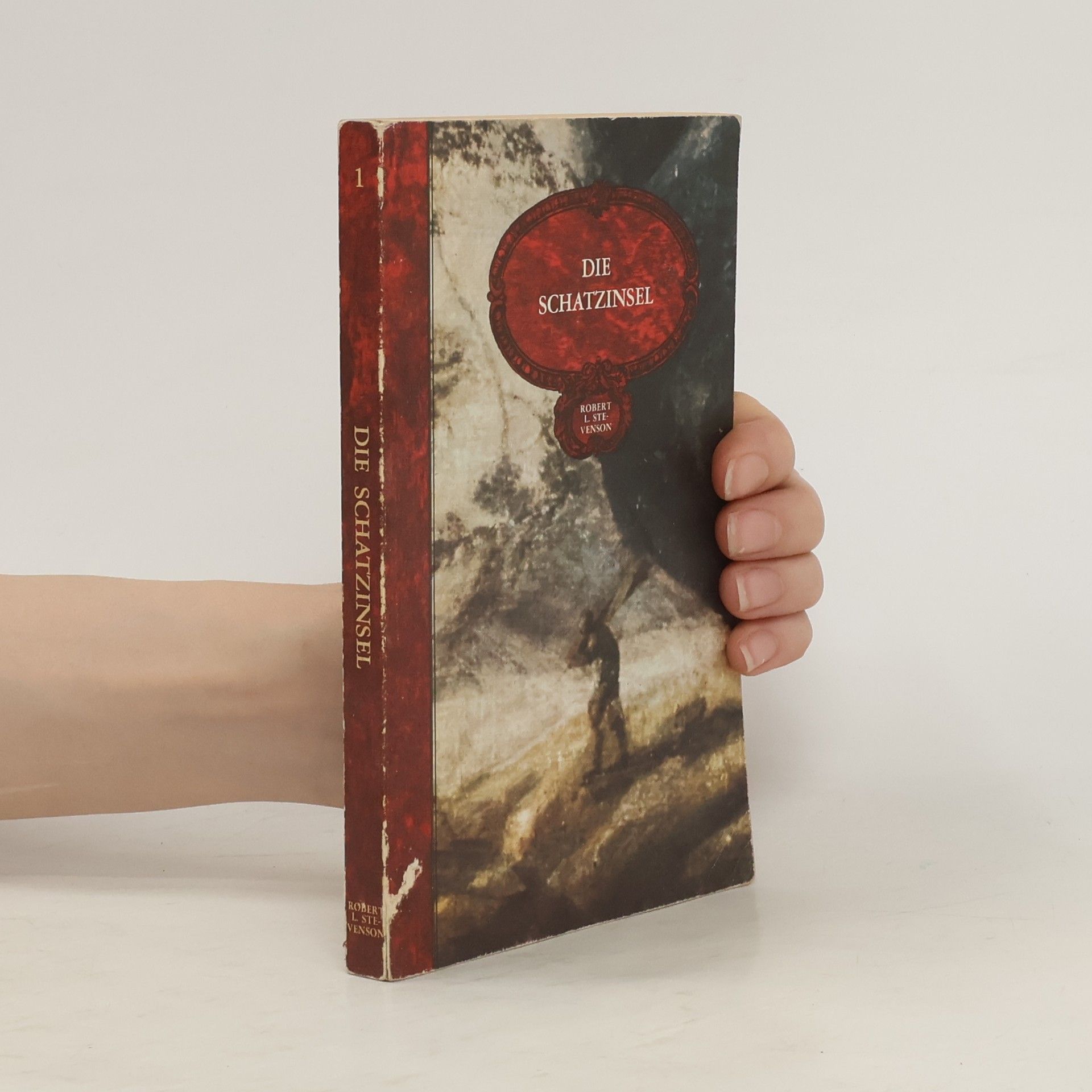 Robert Louis Stevenson Die Schatzinsel 1