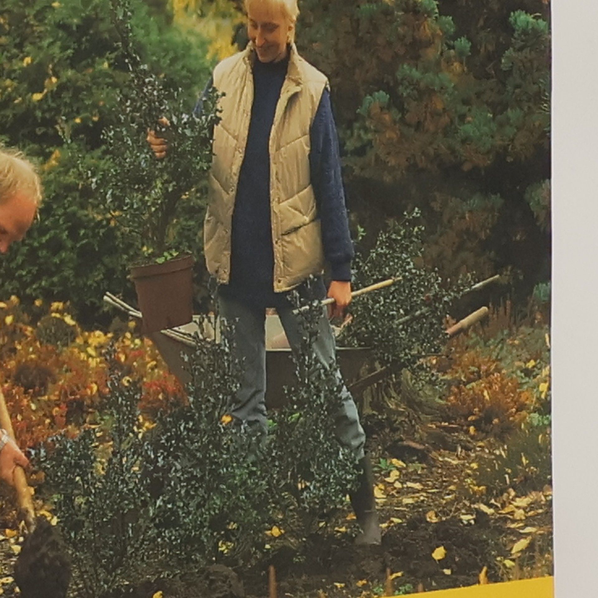 Wolfram Franke Gartenpraxis Schritt für Schritt