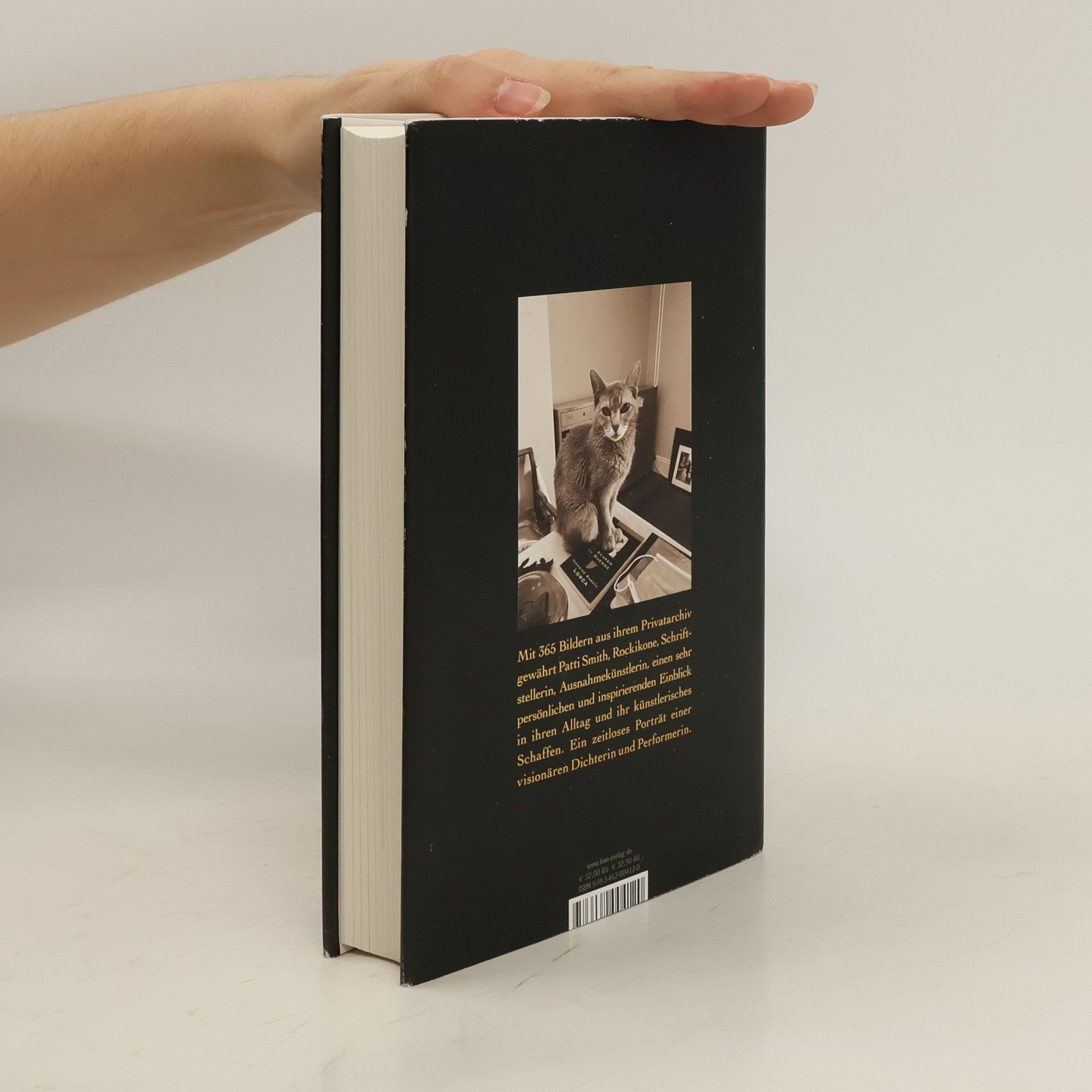 Patti Smith Buch der Tage