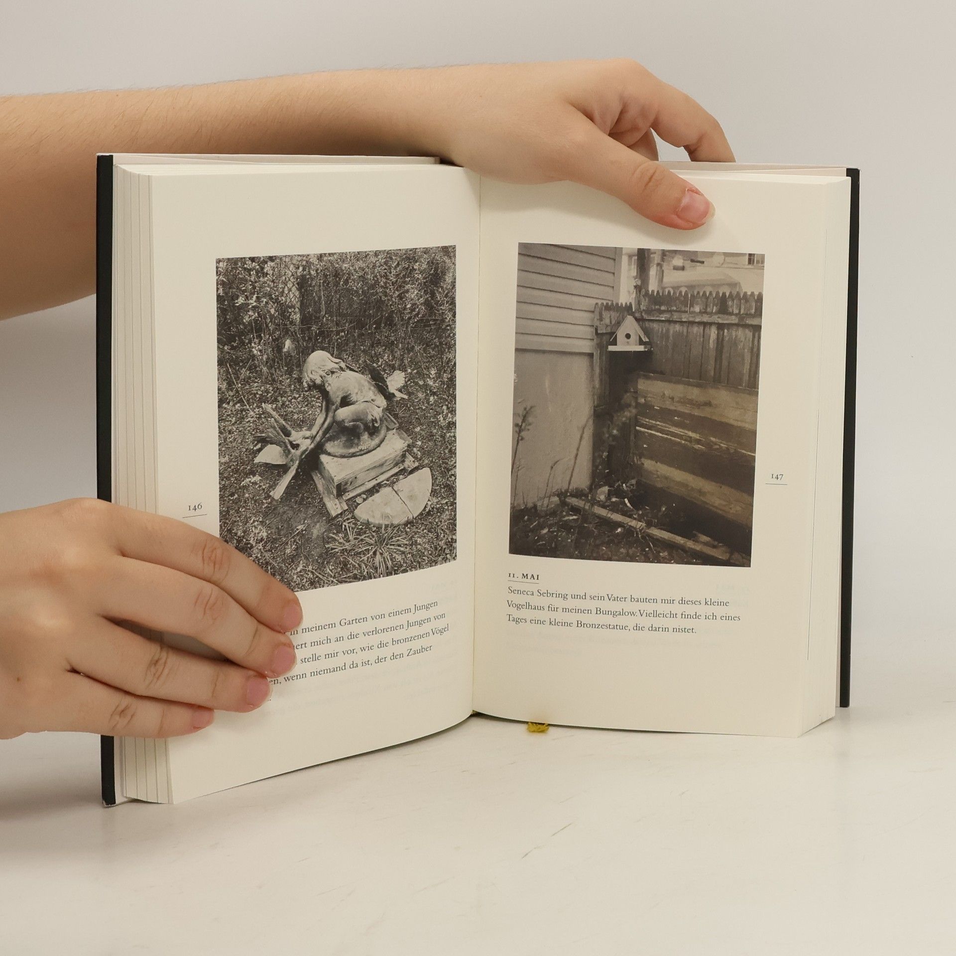 Patti Smith Buch der Tage