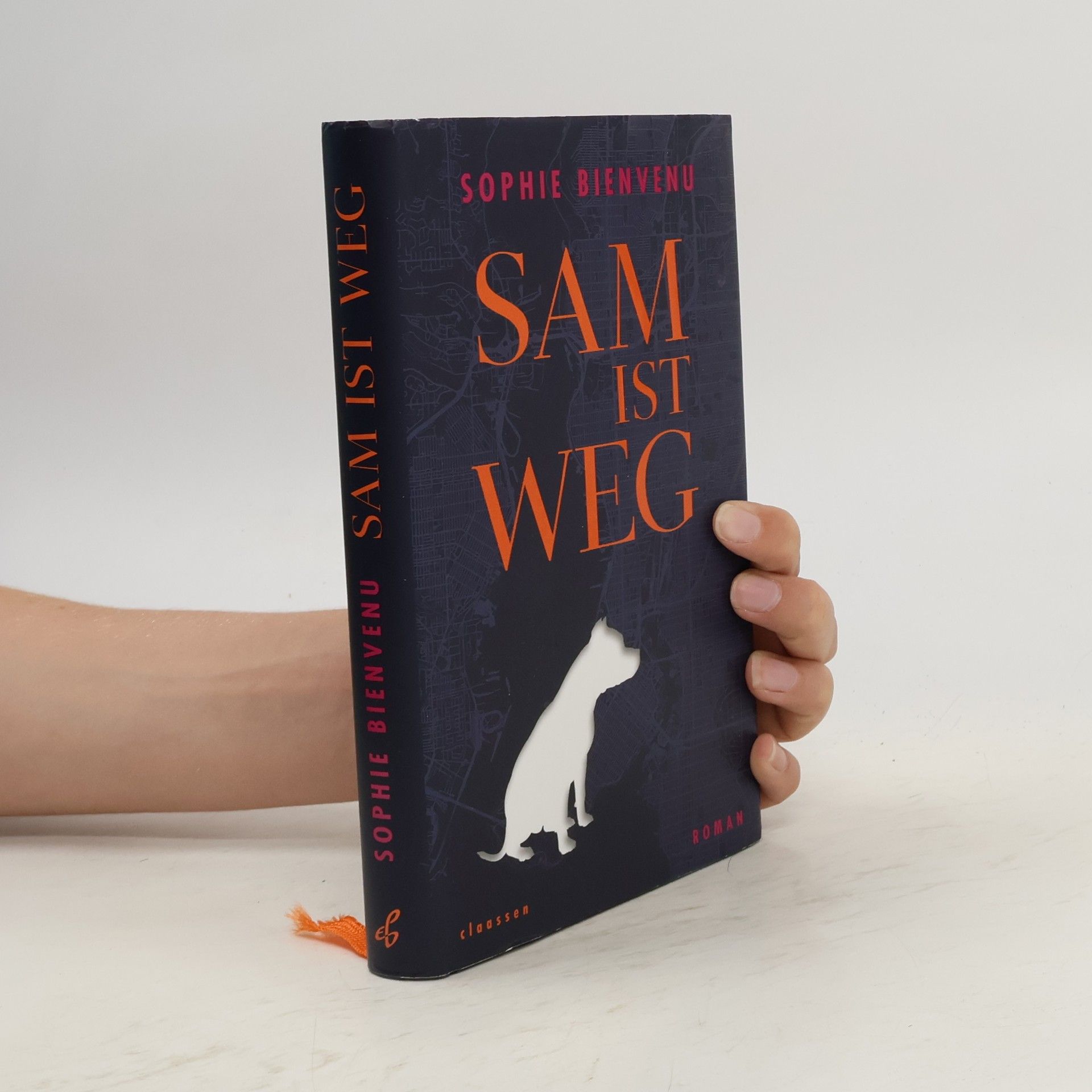 Sophie Bienvenu Sam ist weg