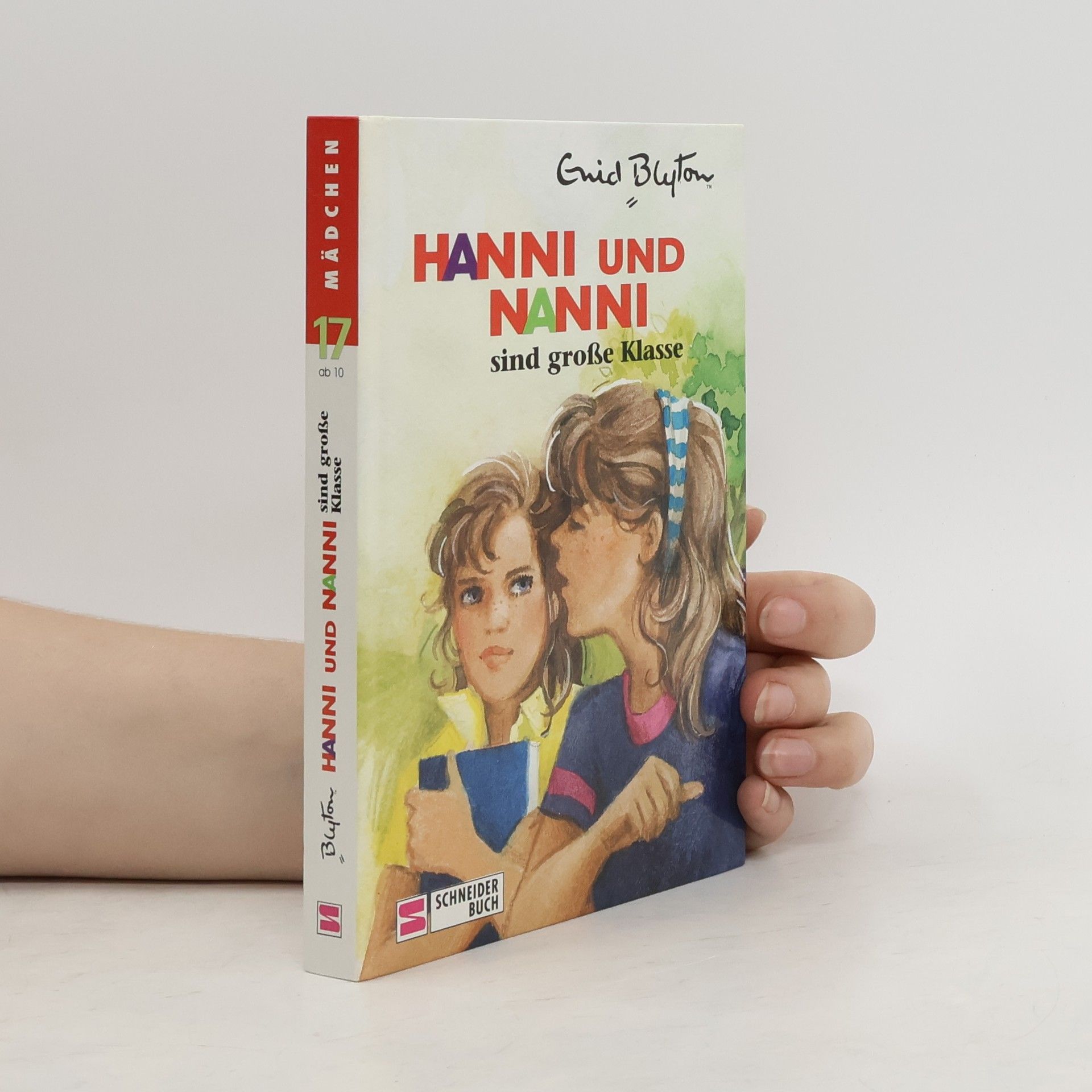 Enid Blyton Hanni und Nanni sind große Klasse