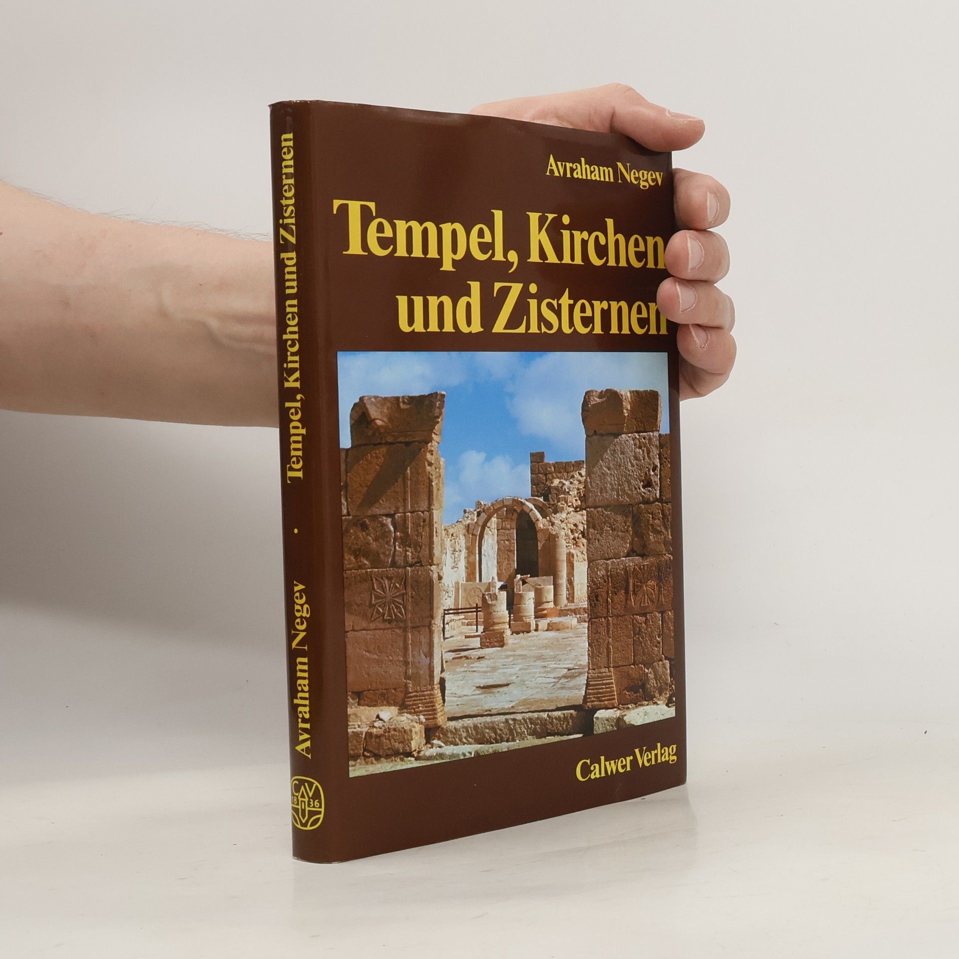 Avraham Negev Tempel, Kirchen und Zisternen
