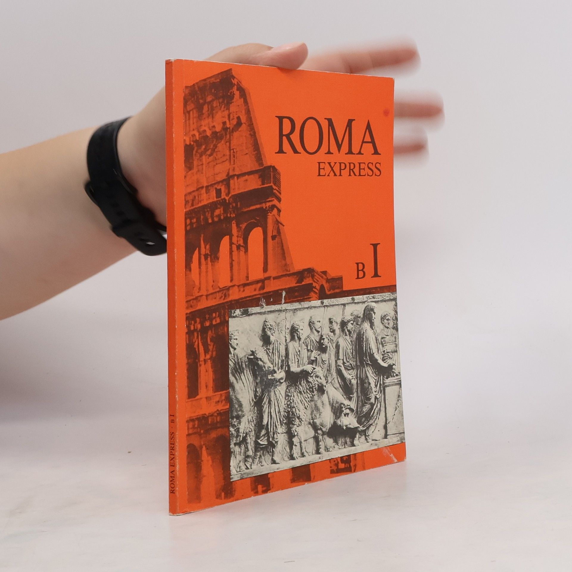 Autorenkollektiv Roma Express B1