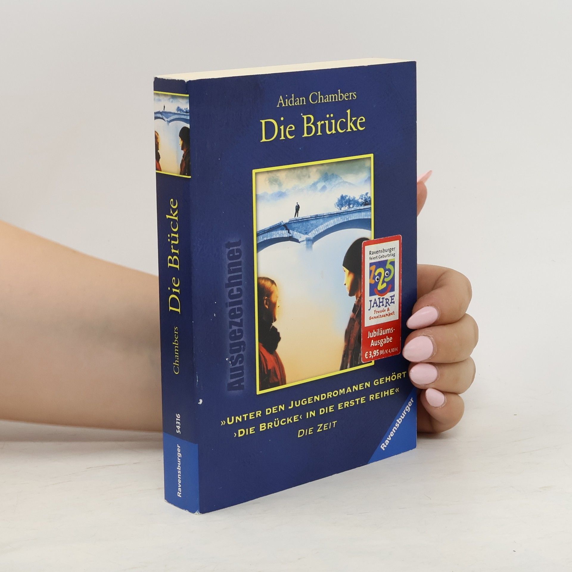 Aidan Chambers Die Brücke