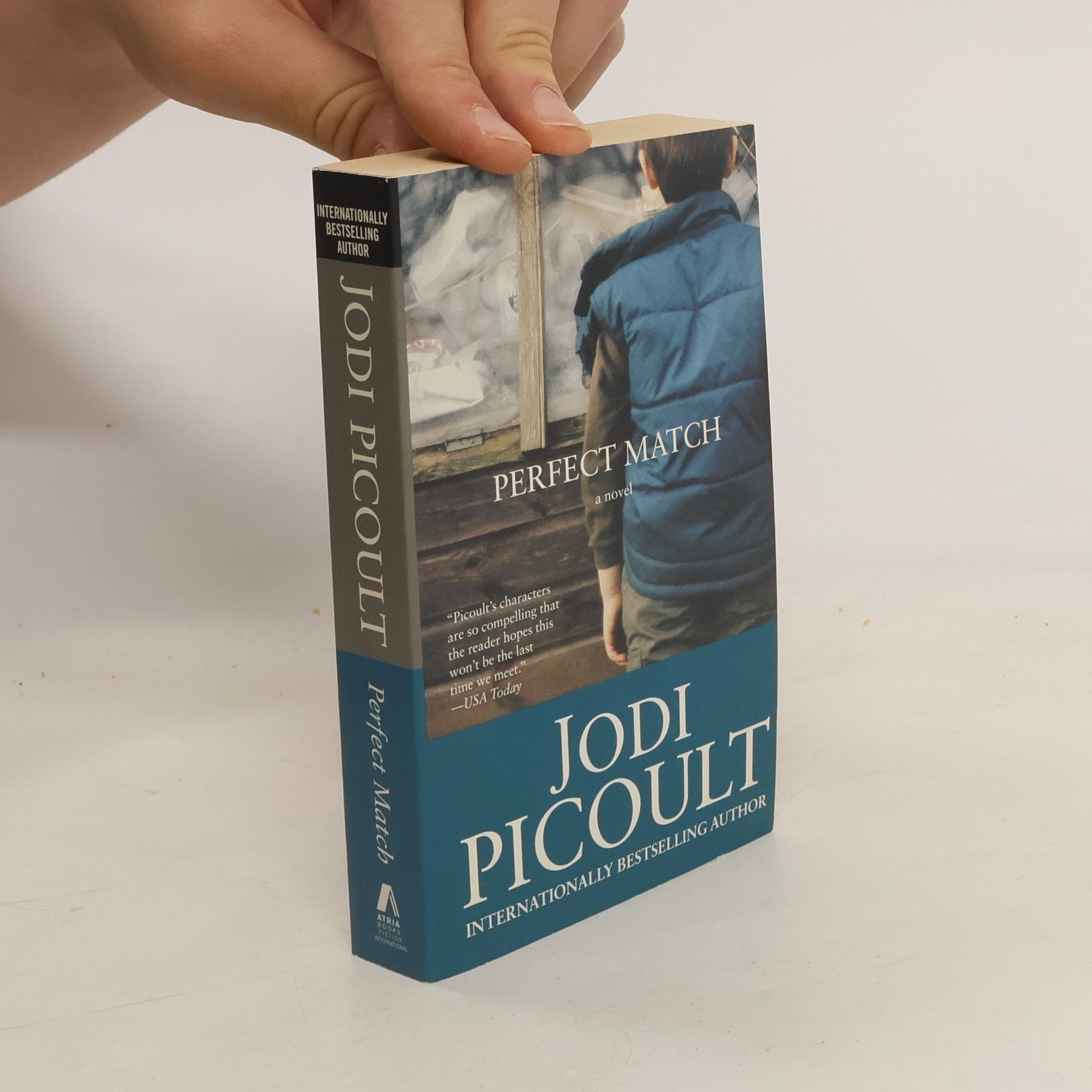 Jodi Picoult Perfect Match