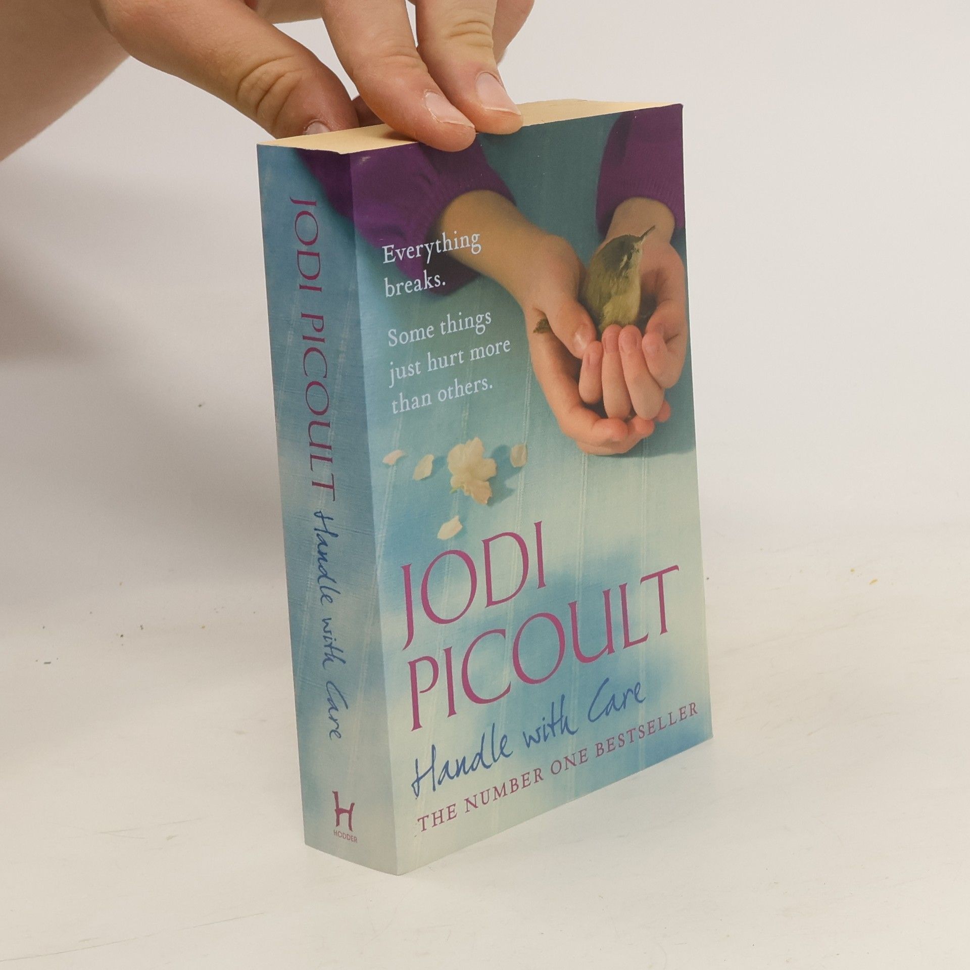 Jodi Picoult Handle With Care