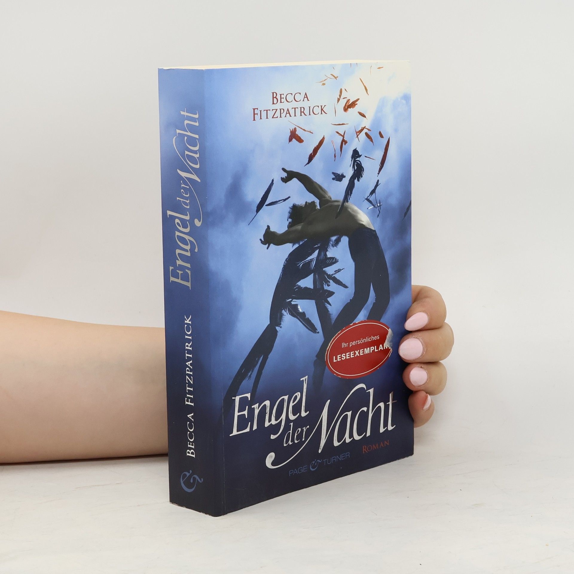 Becca Fitzpatrick Engel der Nacht