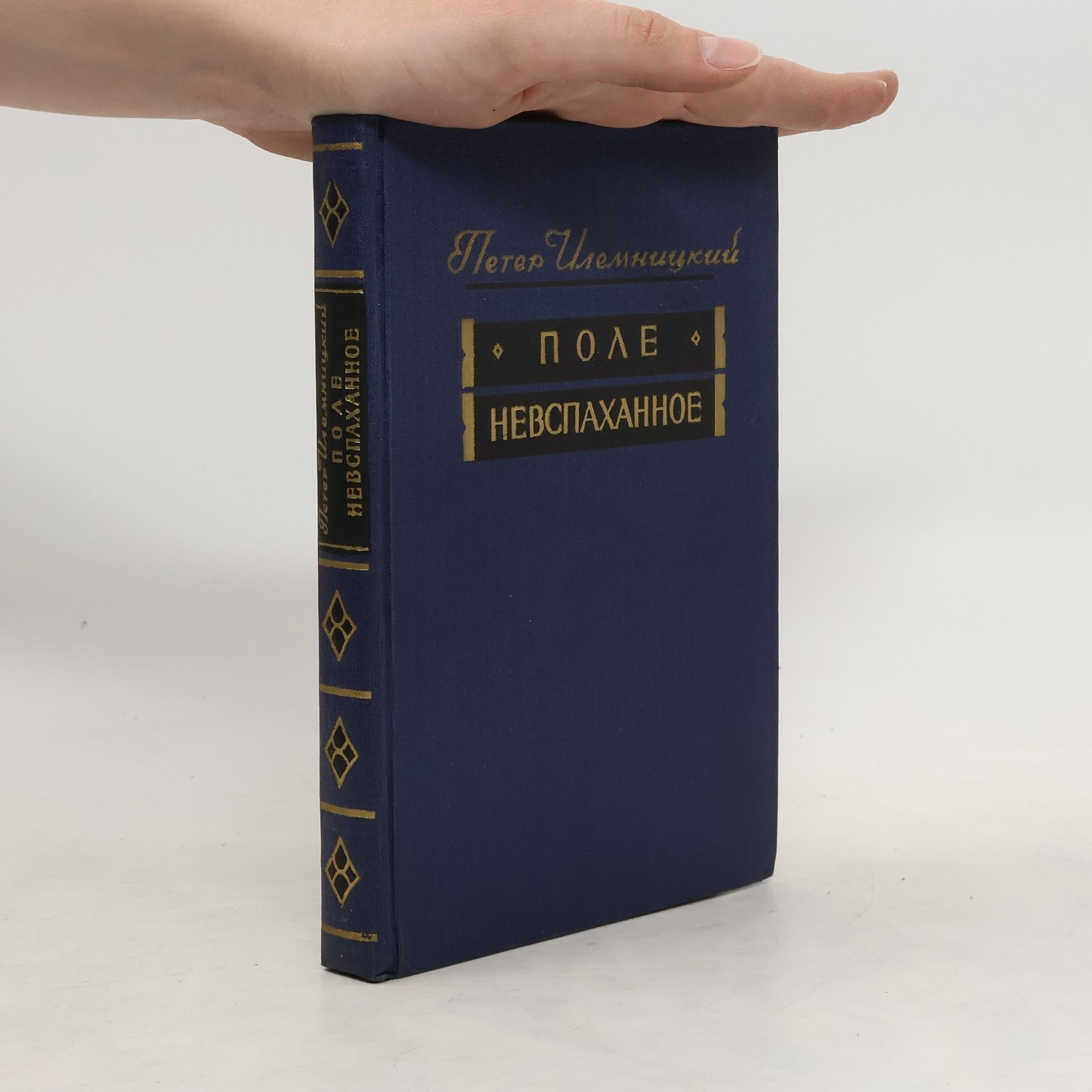 Петер Илемницкий Поле невспаханное