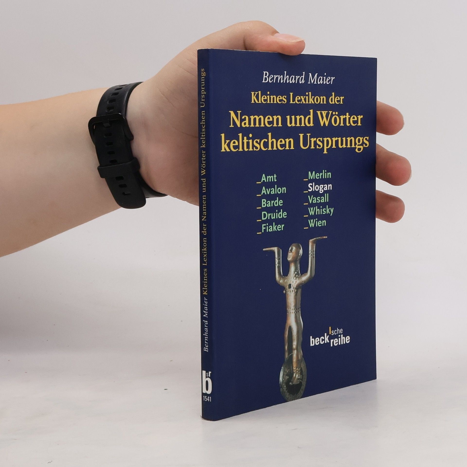 Bernhard Maier Kleines Lexikon der Namen und Wörter keltischen Ursprungs