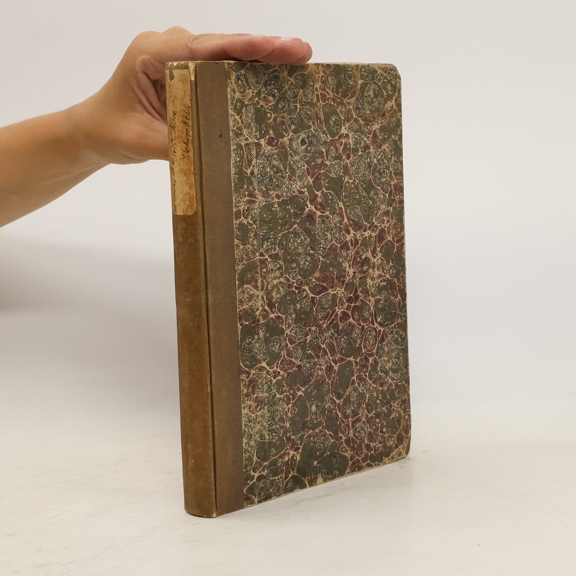 Das Charakterbild Jesu