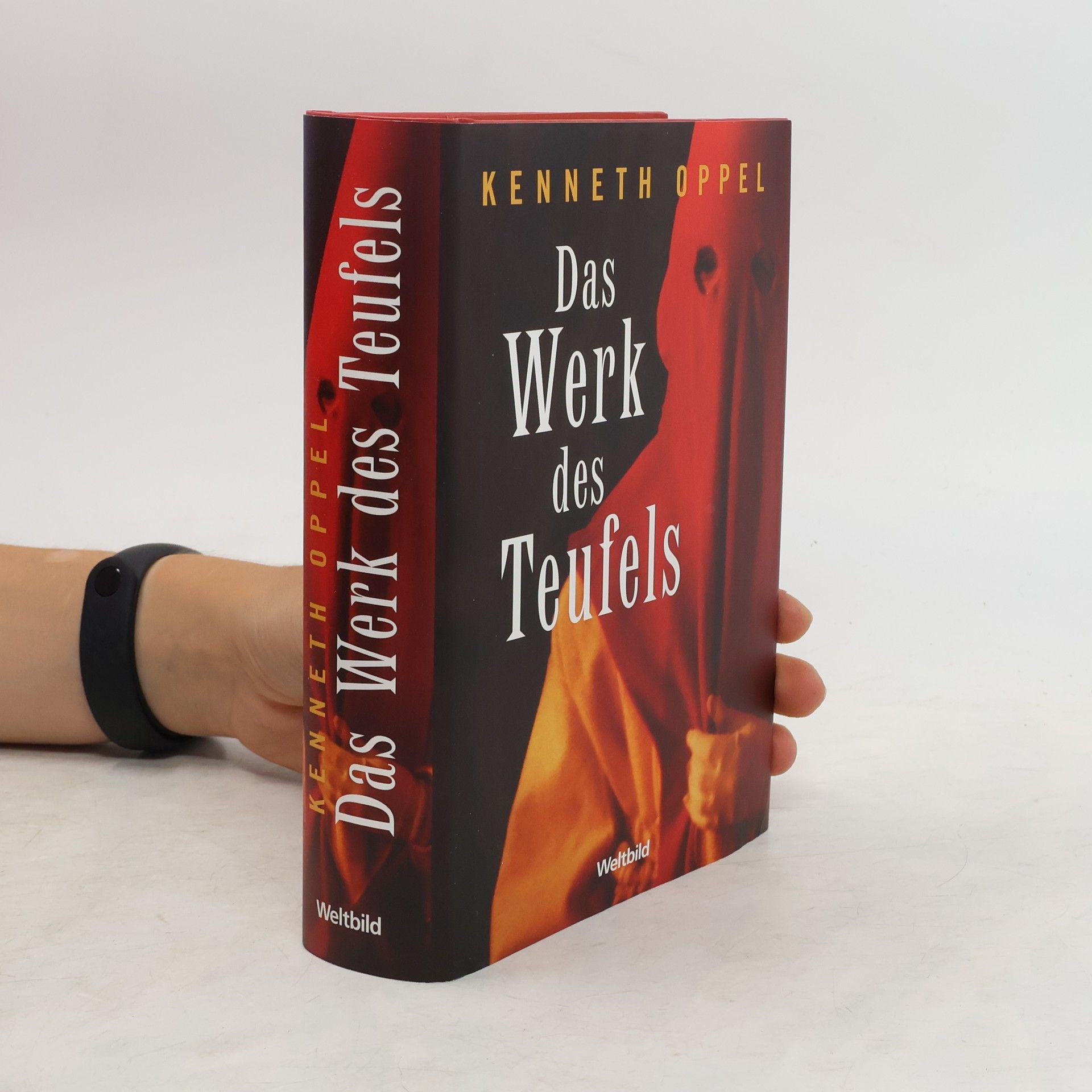 Kenneth Oppel Das Werk des Teufels