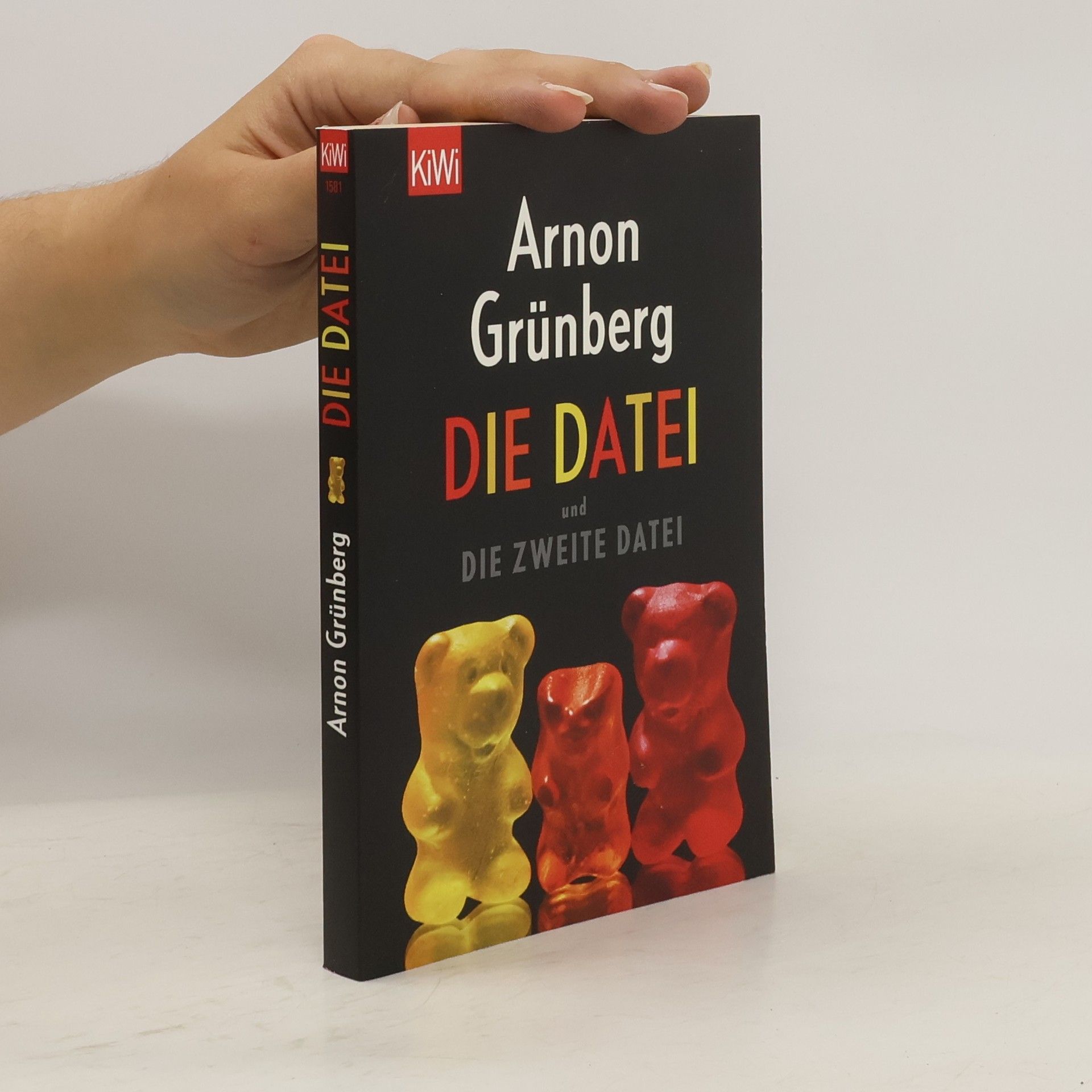 Arnon Grunberg Die Datei
