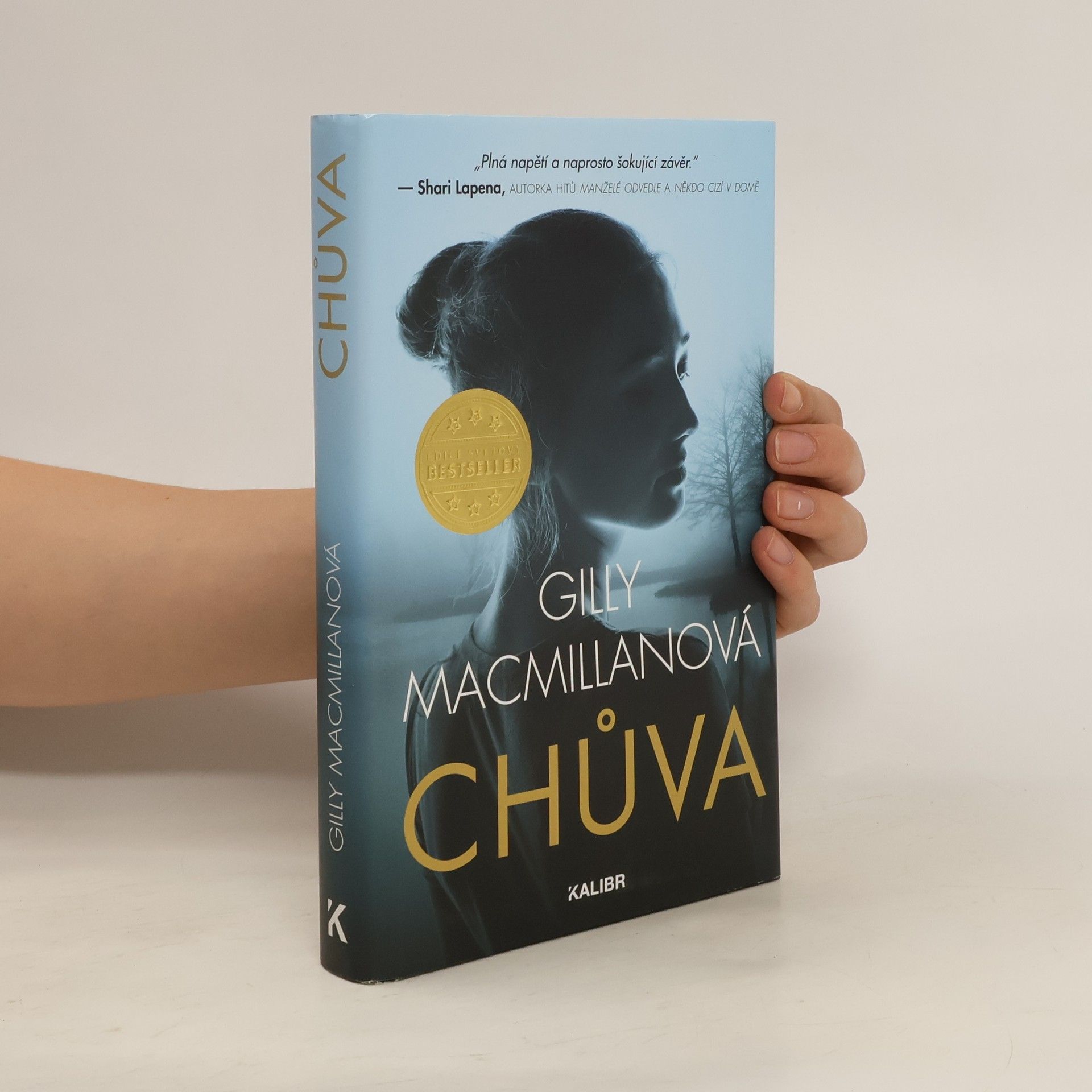Gilly Macmillan Chůva