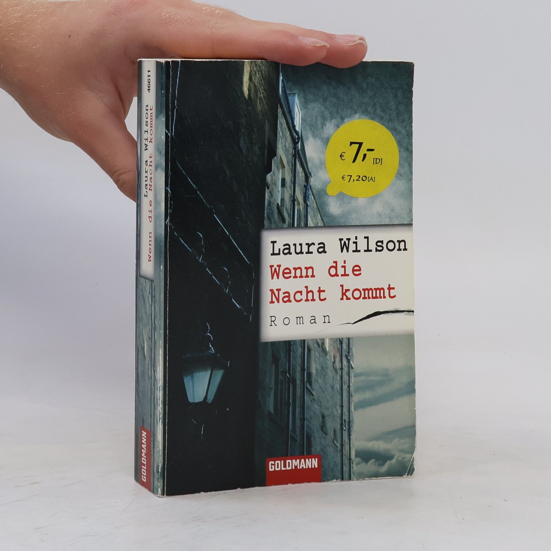 Laura Wilson Wenn die Nacht kommt