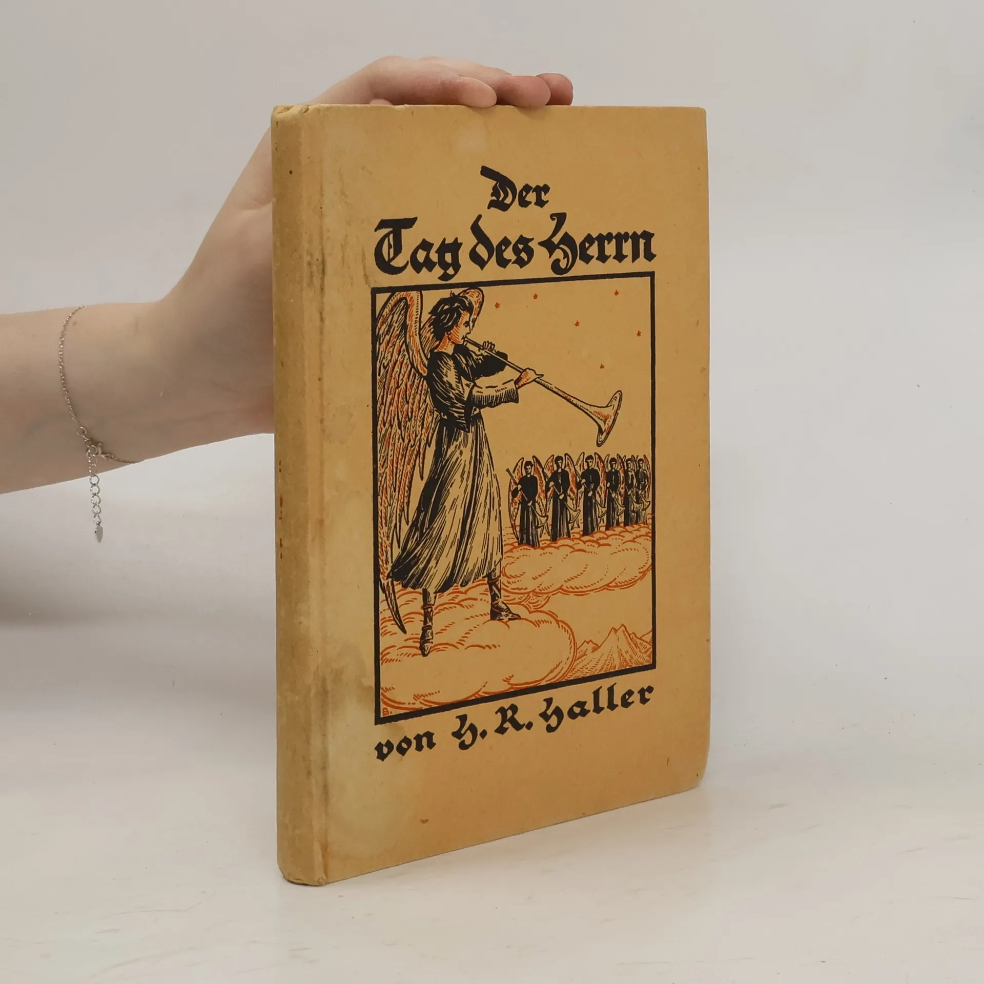 Der Tag des Herrn | H. R. Haller | German | Book