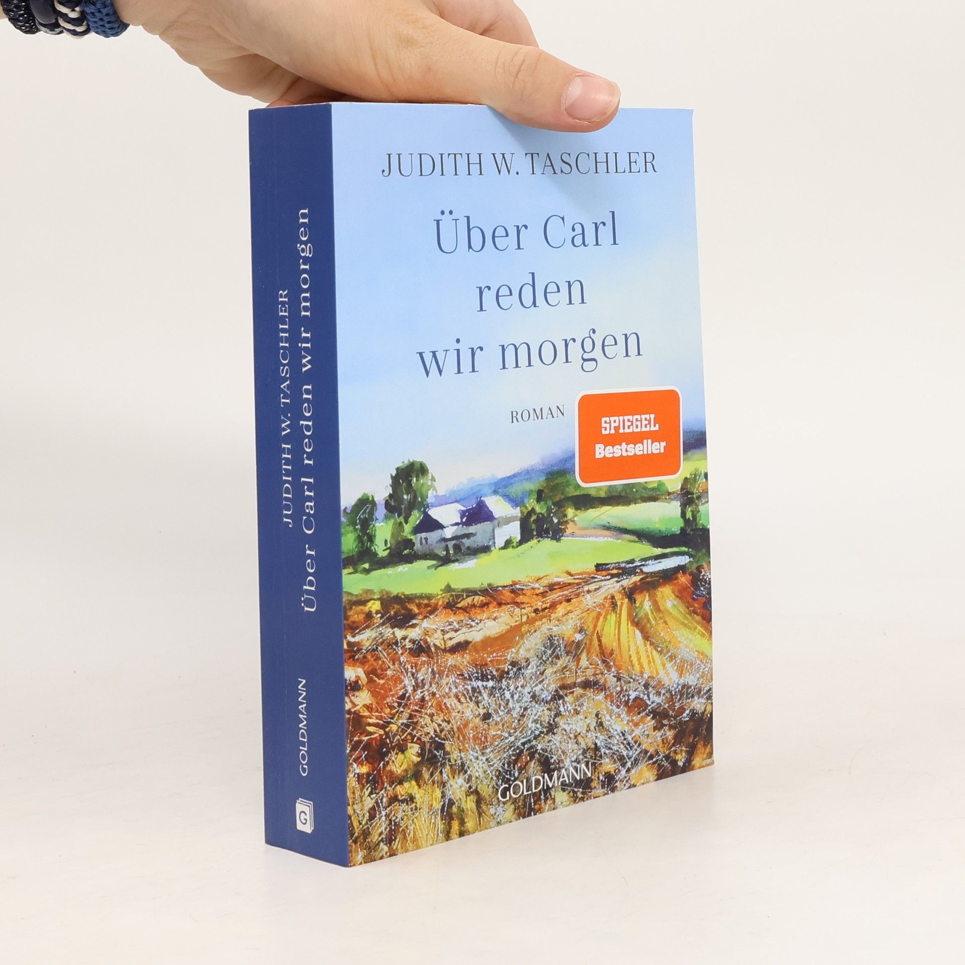 Judith Taschler Über Carl reden wir morgen