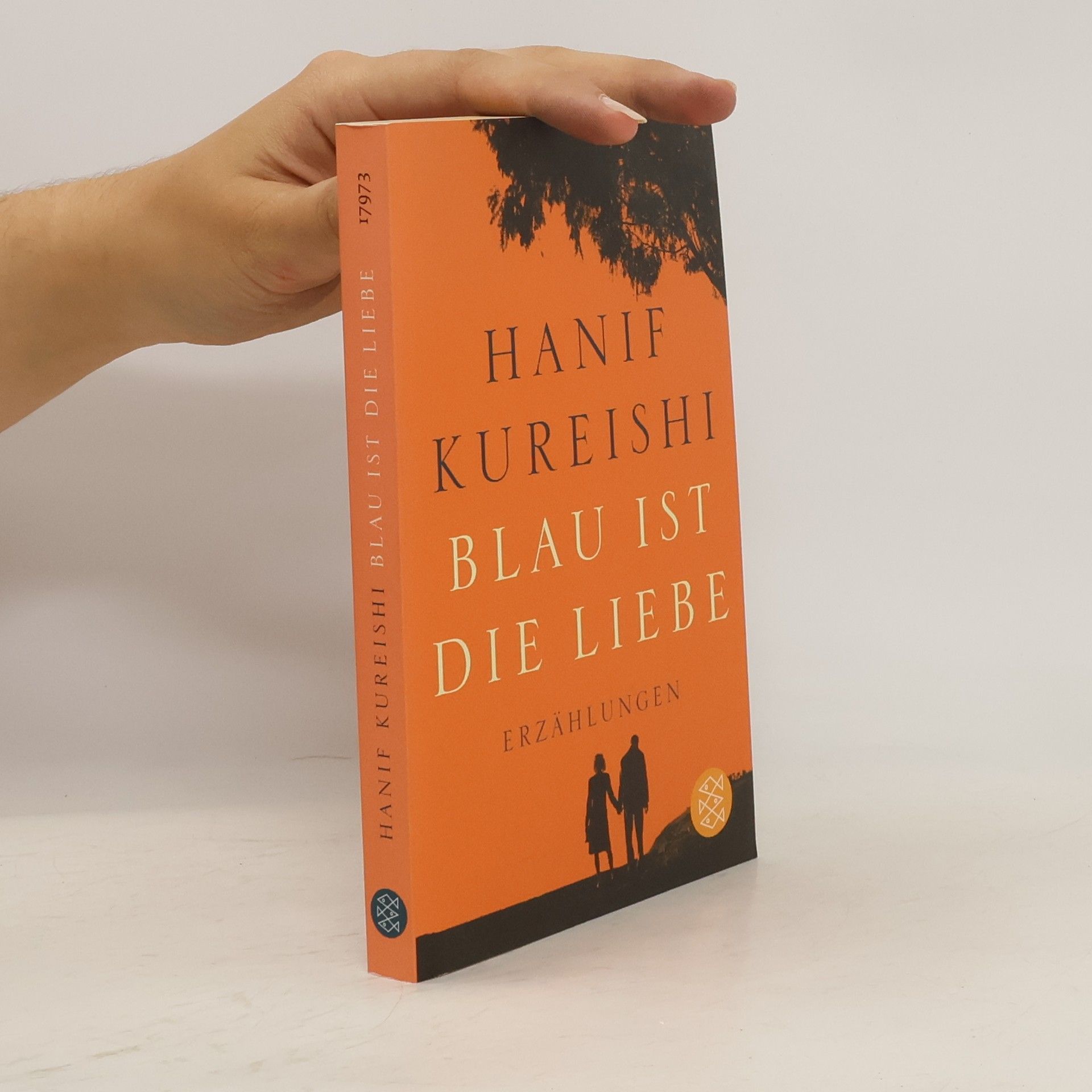 Hanif Kureishi Blau ist die Liebe. Erzählungen