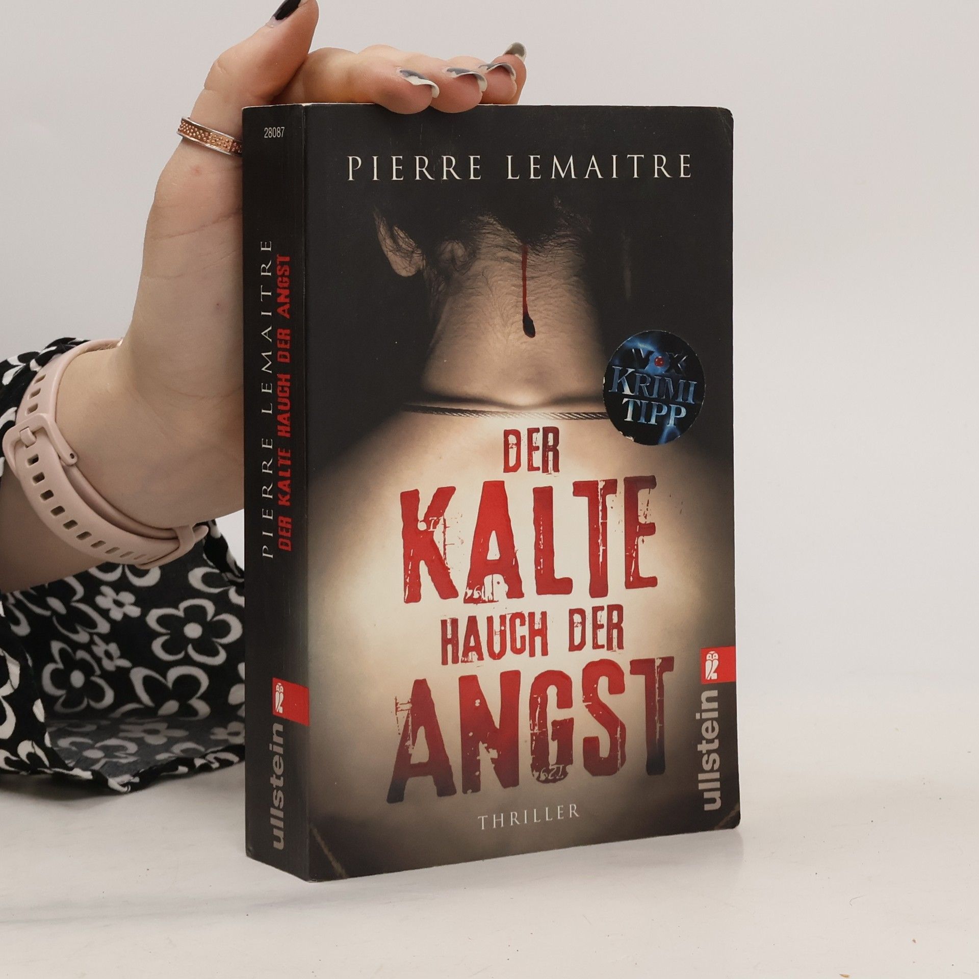 Pierre Lemaitre Der Kalte Hauch der Angst
